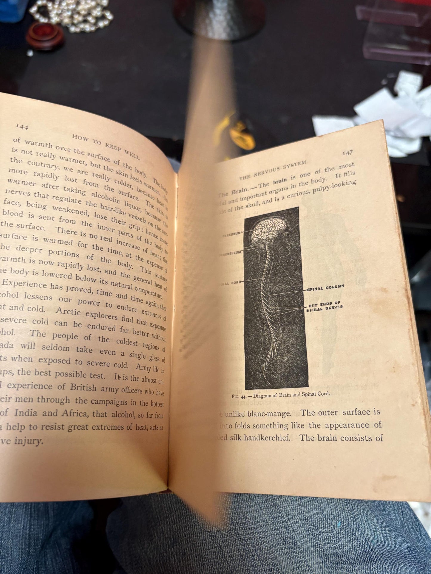 Beautiful physiology for boys and girls 1865 book  not perfect condition but very cool info  great gift