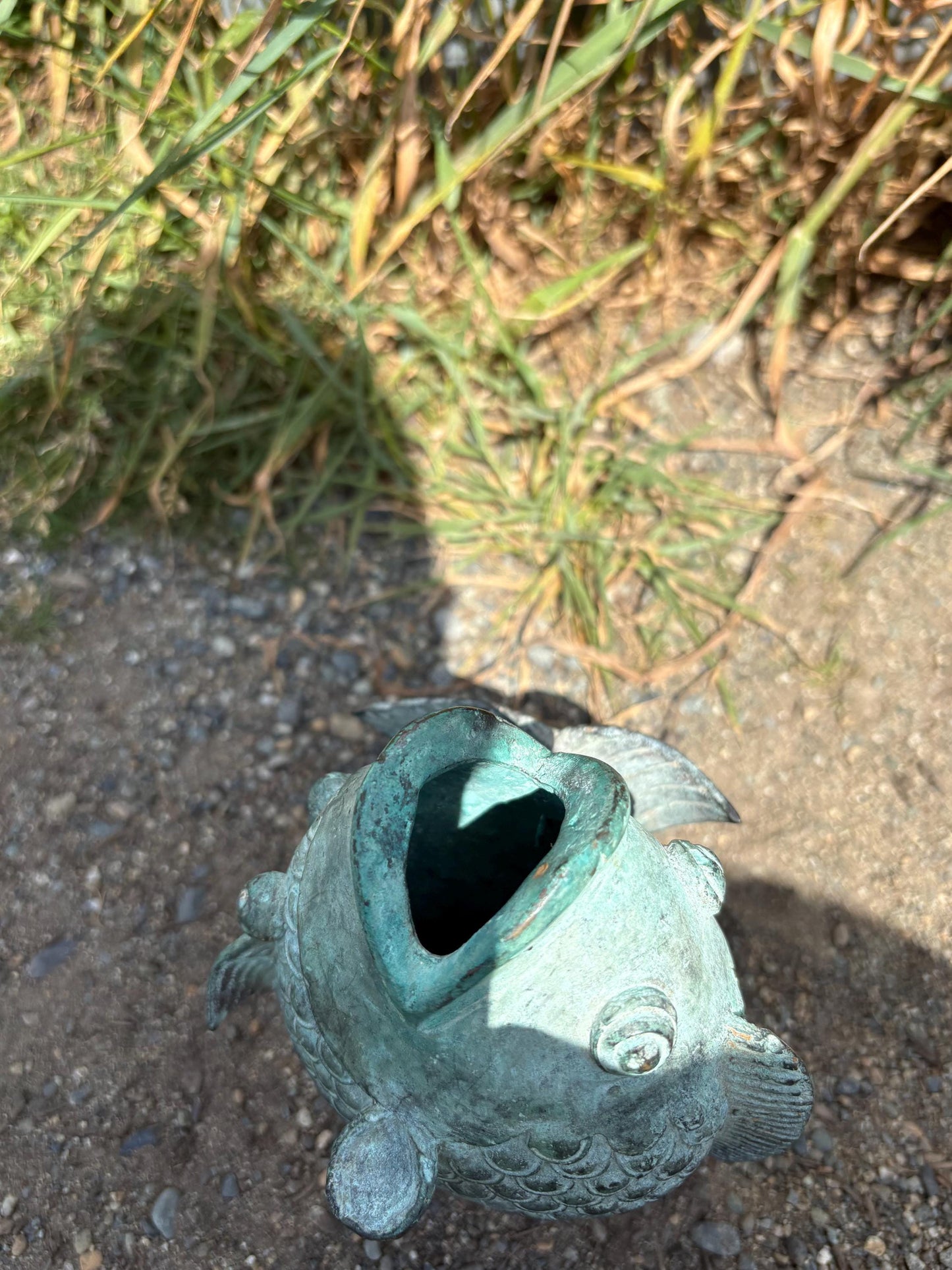 Stunning old Japanese 6 inch bronze Koi fish with wonderful patina  intense beauty  Japanese art  great gift