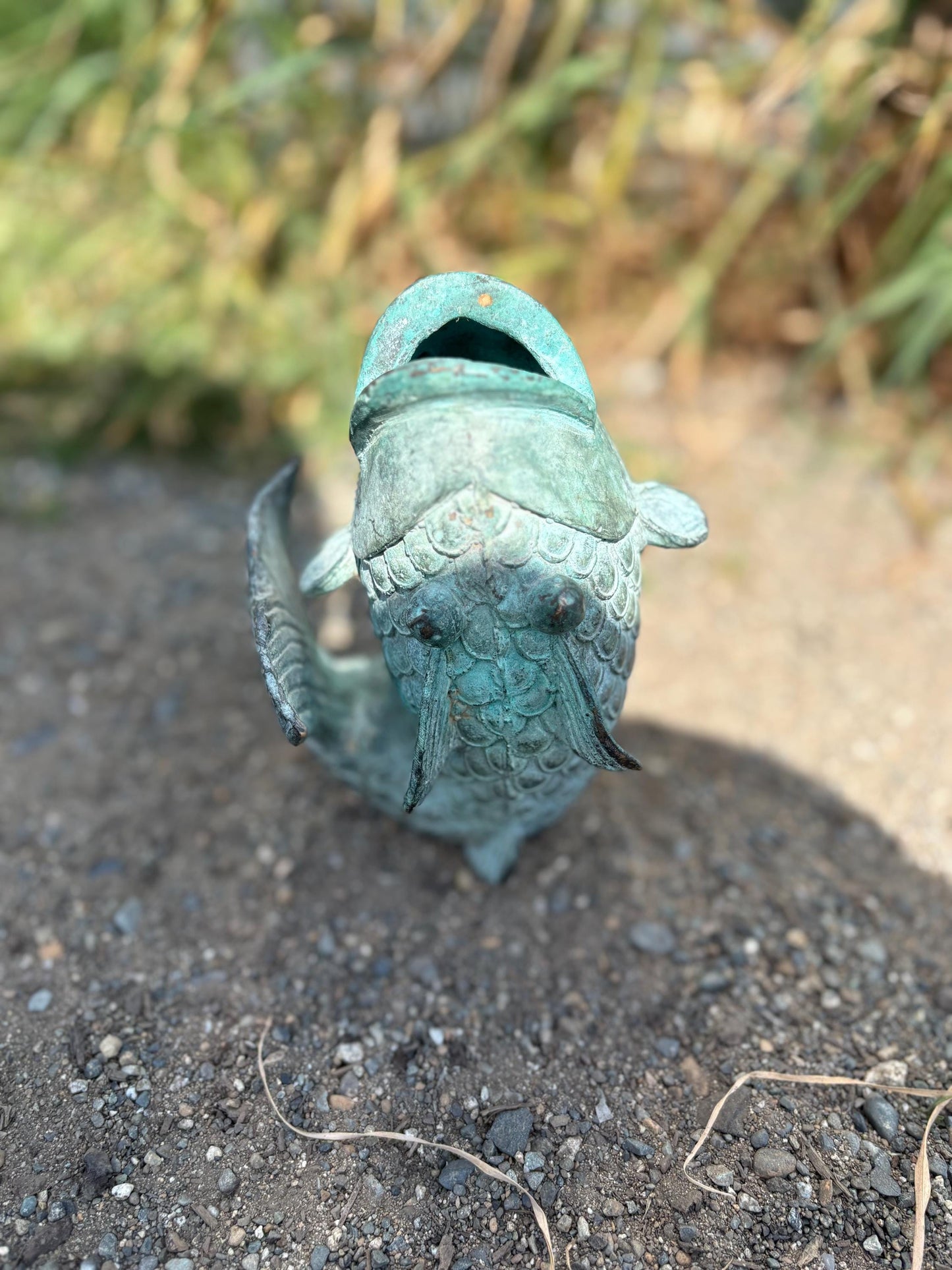 Stunning old Japanese 6 inch bronze Koi fish with wonderful patina  intense beauty  Japanese art  great gift