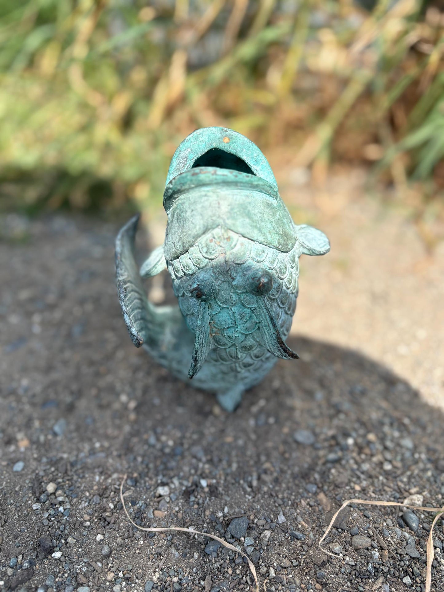 Stunning old Japanese 6 inch bronze Koi fish with wonderful patina — intense beauty — Japanese art — great gift