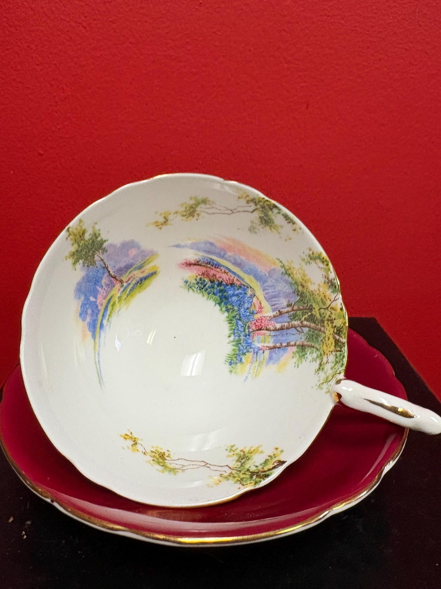 Unusual Aynsley cup and saucer   one tiny chip  price reflects