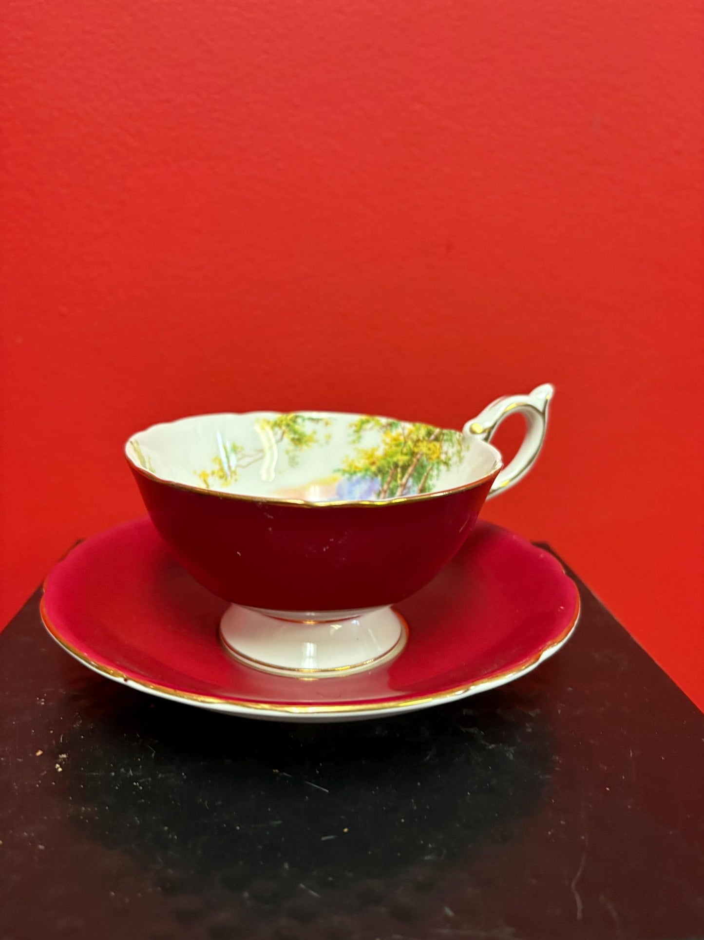 Unusual Aynsley cup and saucer   one tiny chip  price reflects