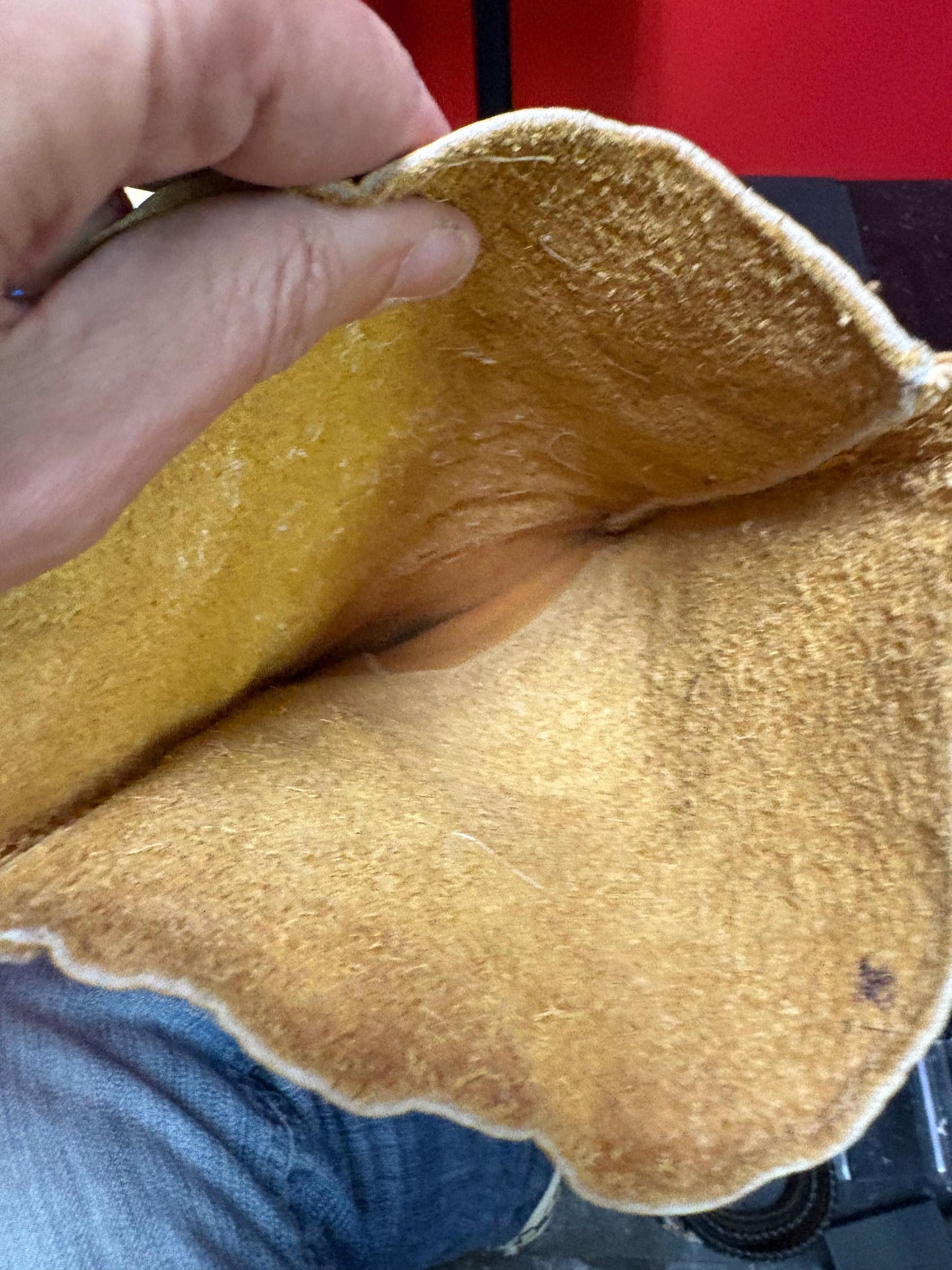 Stunning 15 x 6 wide indigenous first nation specific north West Coast leather and beaded gloves-wonderful condition