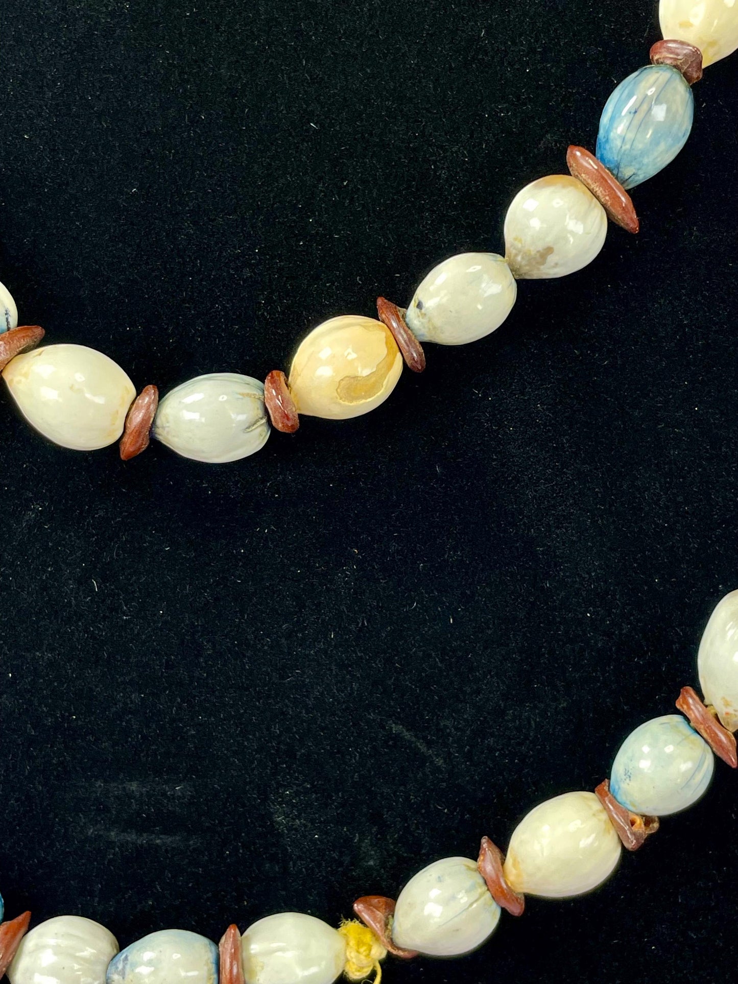 41 inch long Shell and Seed Necklace