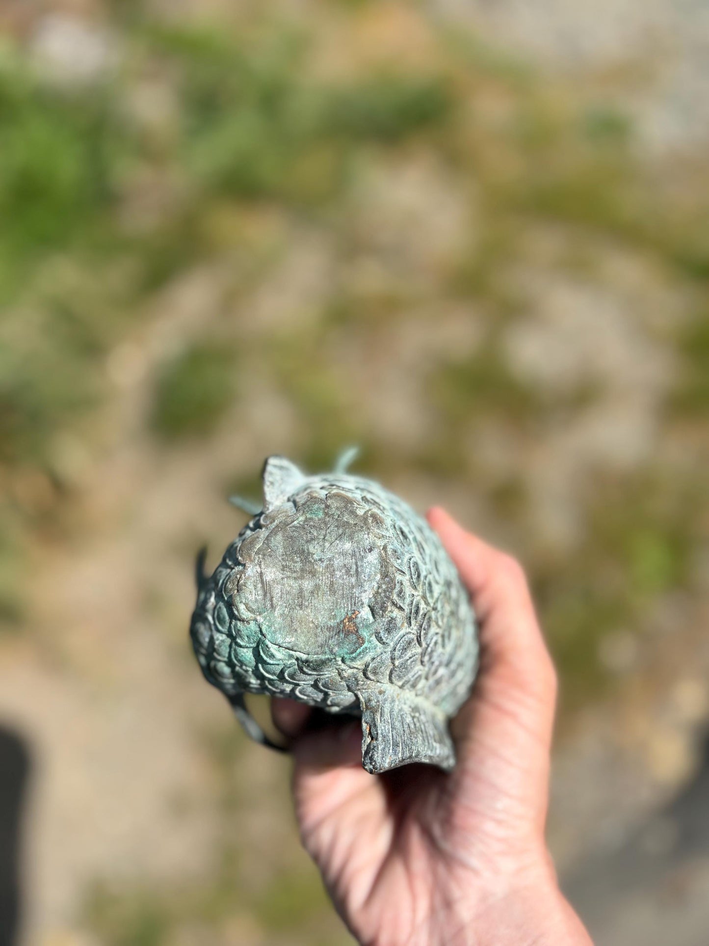 Stunning old Japanese 6 inch bronze Koi fish with wonderful patina — intense beauty — Japanese art — great gift