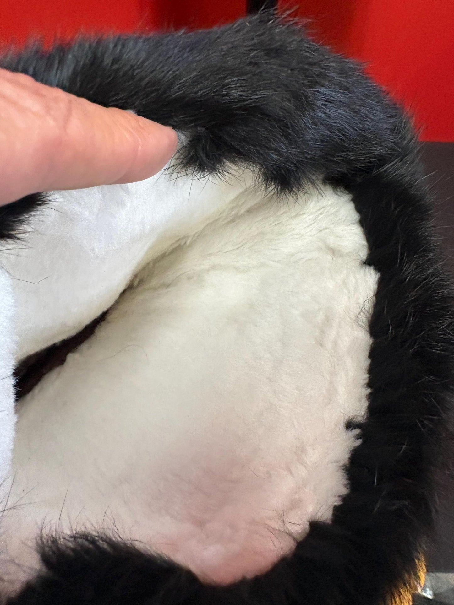 Beautiful indigenous first nations Pacific Northwest coast 14 x 7 wide leather and beaded gloves  wonderful condition