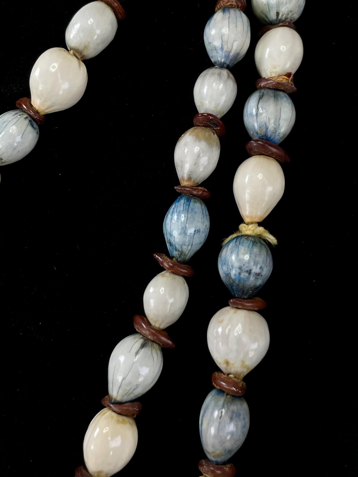 41 inch long Shell and Seed Necklace