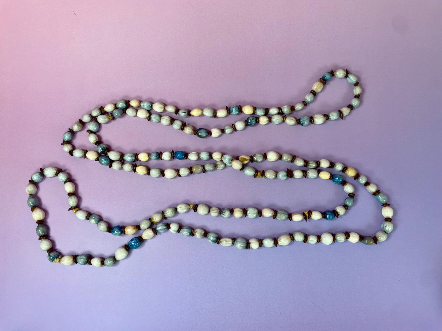 41 inch long Shell and Seed Necklace
