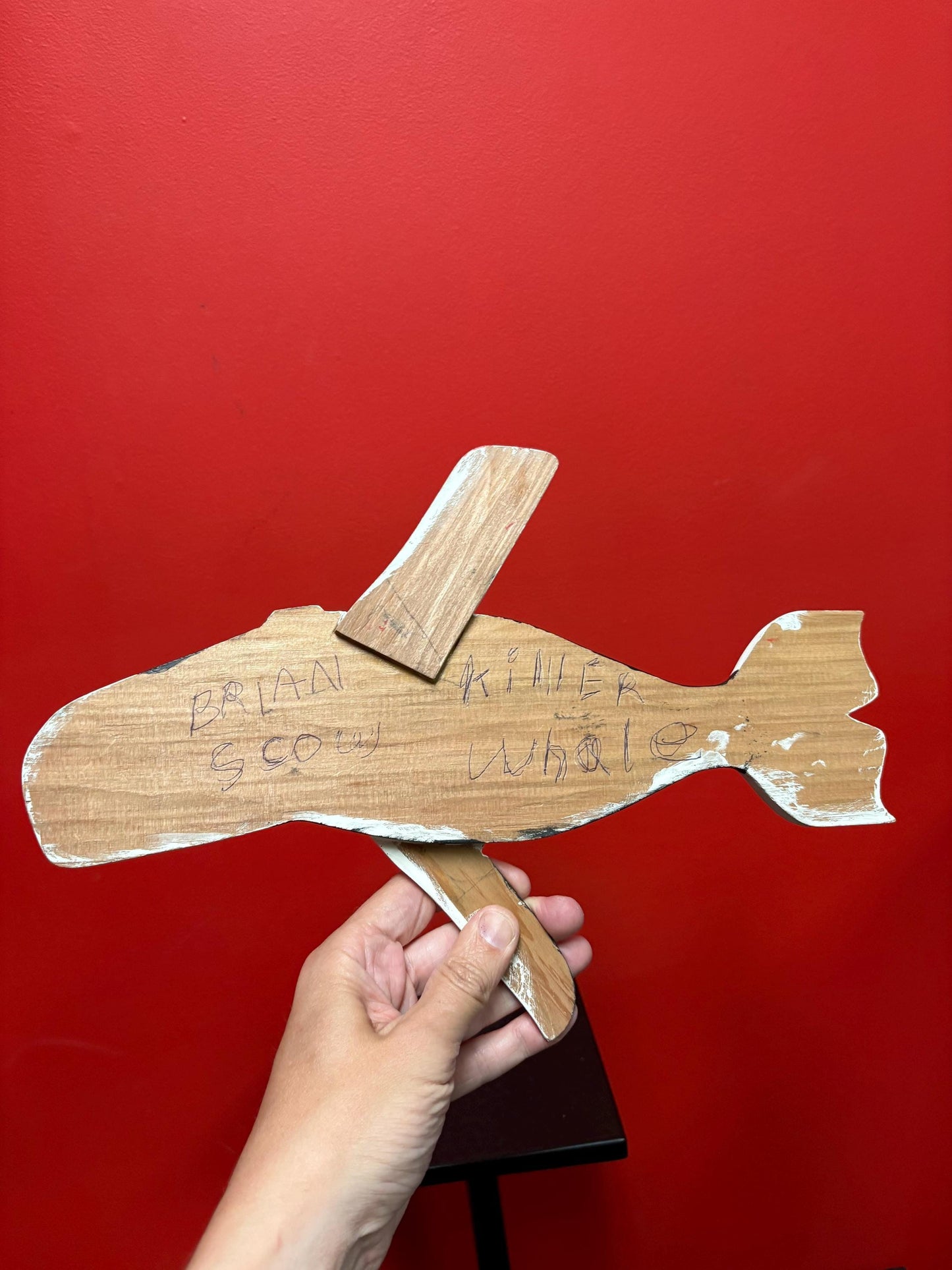 Beautiful indigenous first nation West Coast Brian SCOW alert Bay painted killer whale plaque - 14 x 9 high  good value  needs hanger