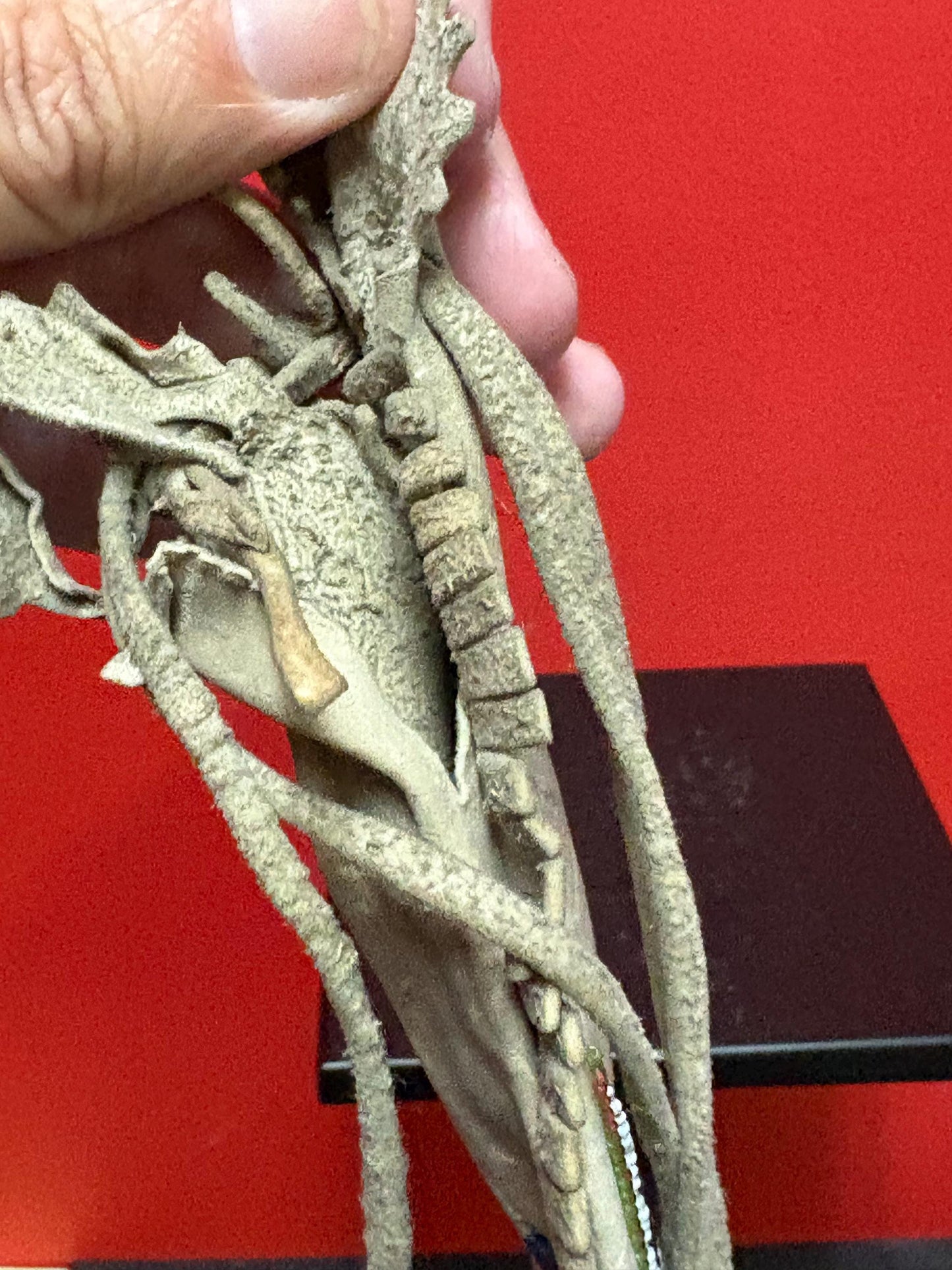 Beautiful antique beaded and leather 18 inch long indigenous first nation pacific  West Coast medicine bag slight damage