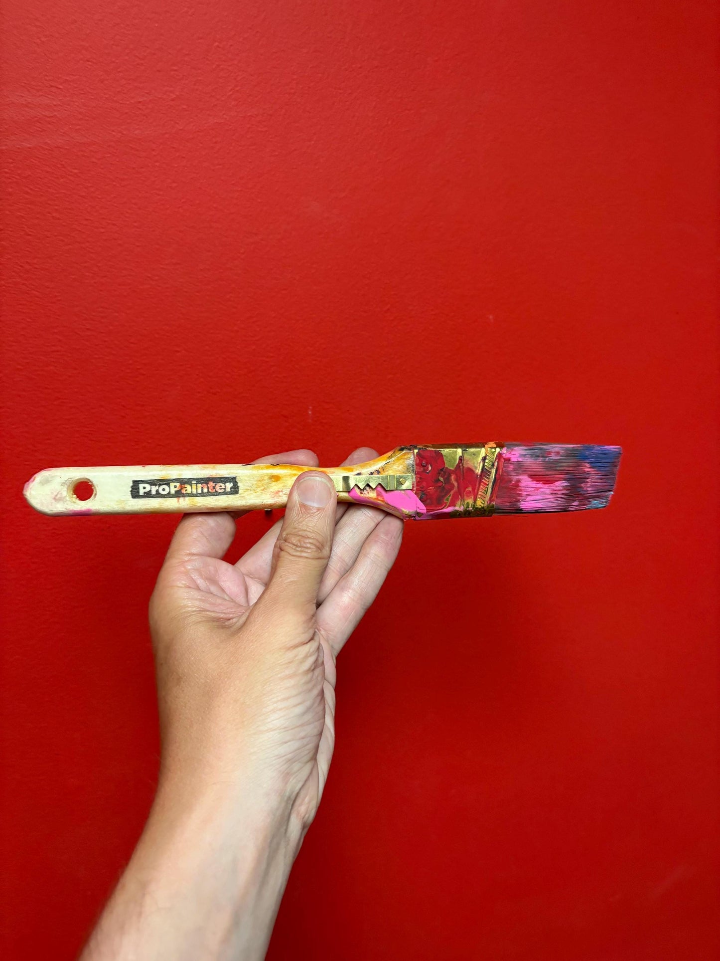 Very cool 11 inch long Vancouver Eli visually impaired artist Eli St. John kiss me paintbrush  wow