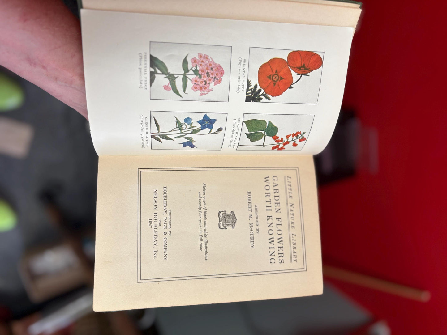 Beautiful antique garden flowers book  - nice illustrations - 1st edition 1927 - pretty great condition - 311 pages and perfect gift