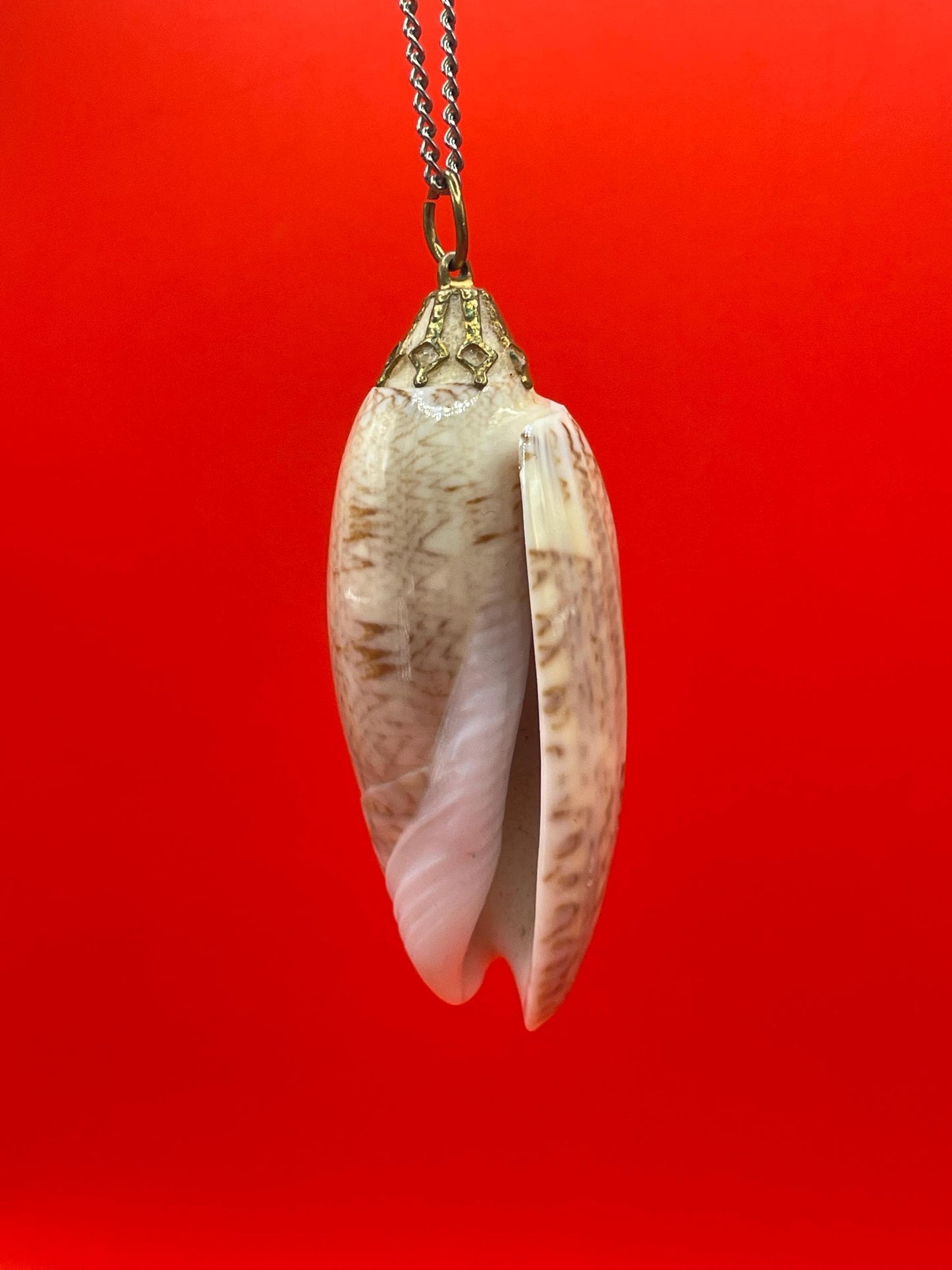 Polished Shell Pendant Necklace