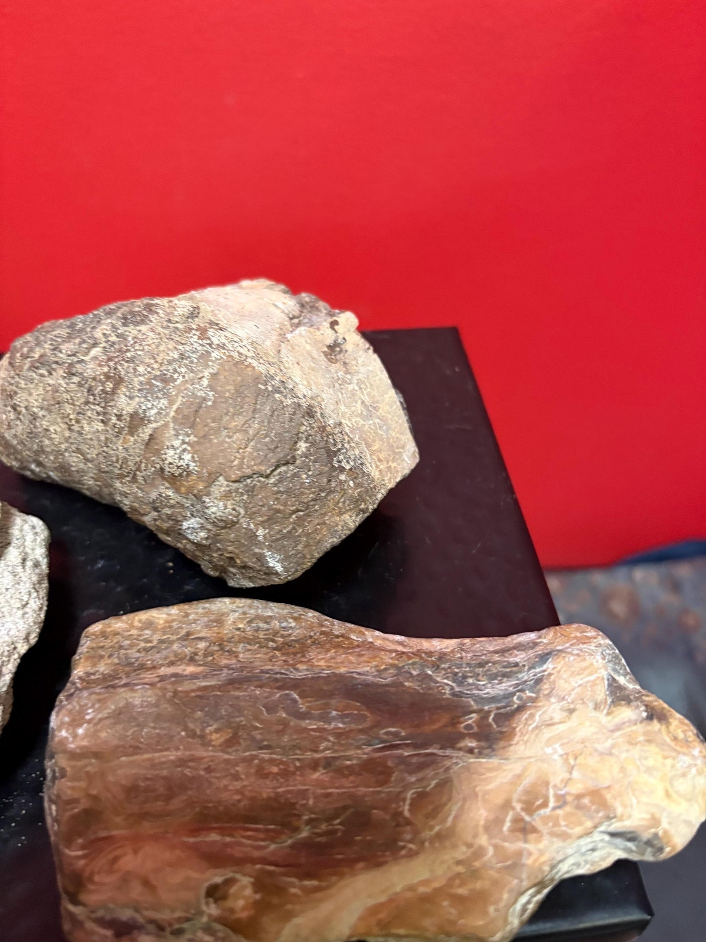 Pretty cool collection of Canadian West Coast stones and fossils  believed to be ancient indigenous  sold as a lot of great value