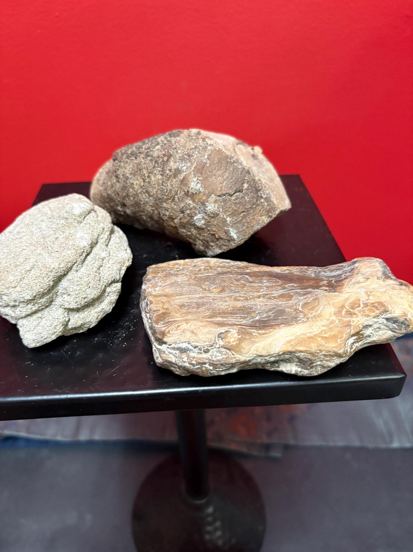 Pretty cool collection of Canadian West Coast stones and fossils  believed to be ancient indigenous  sold as a lot of great value