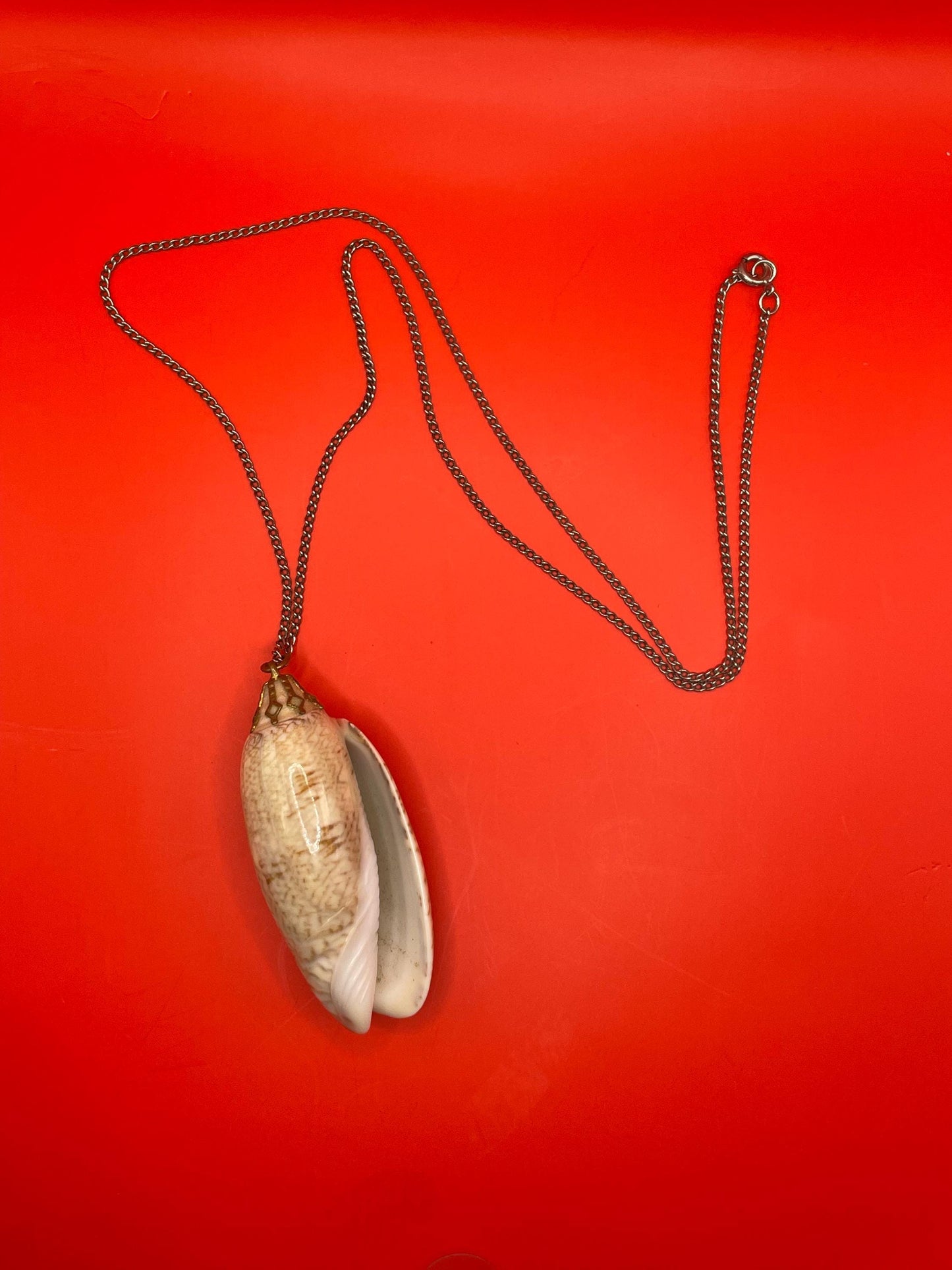 Polished Shell Pendant Necklace