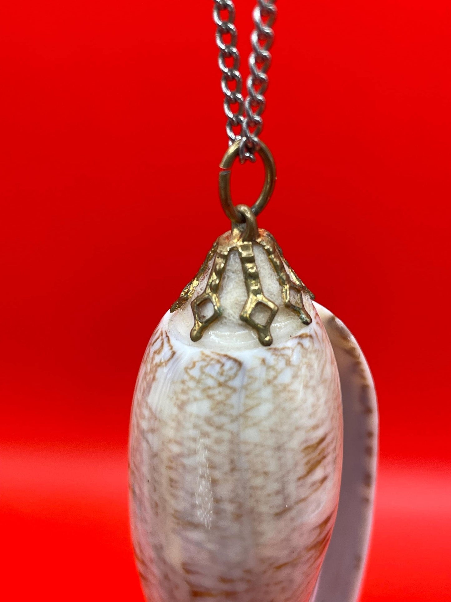 Polished Shell Pendant Necklace