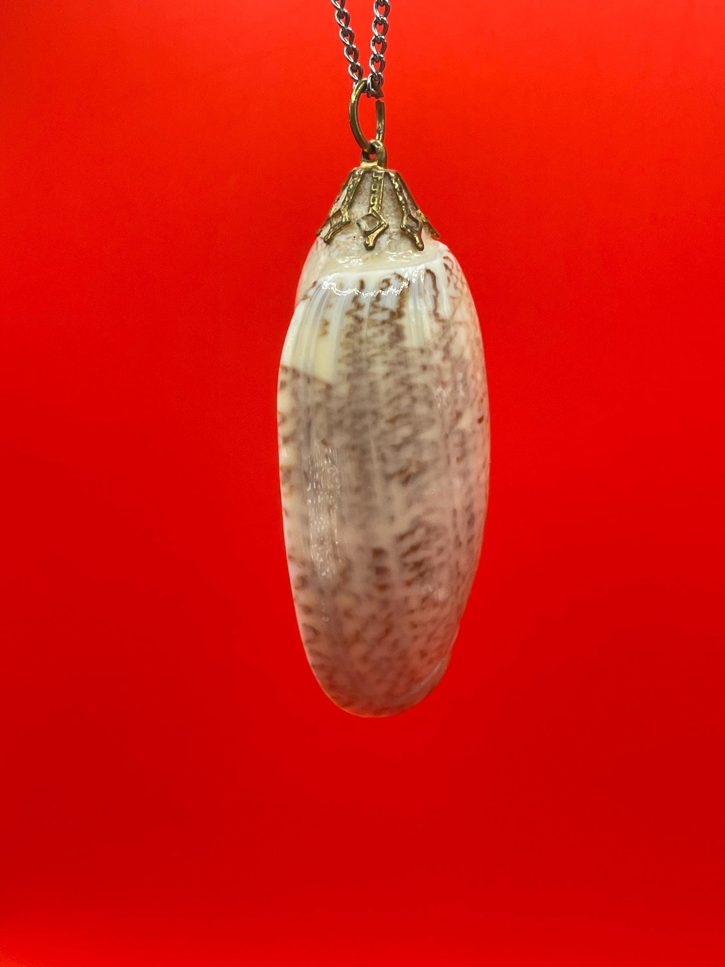 Polished Shell Pendant Necklace