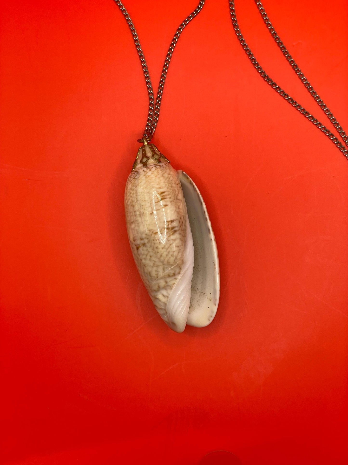 Polished Shell Pendant Necklace