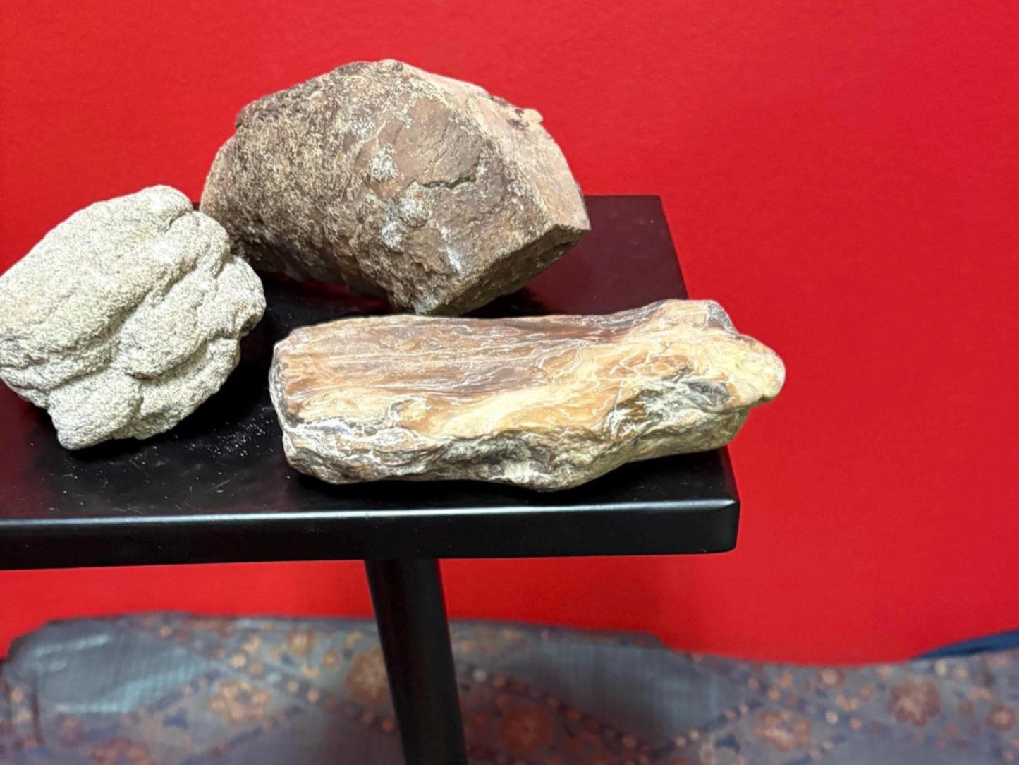Pretty cool collection of Canadian West Coast stones and fossils  believed to be ancient indigenous  sold as a lot of great value