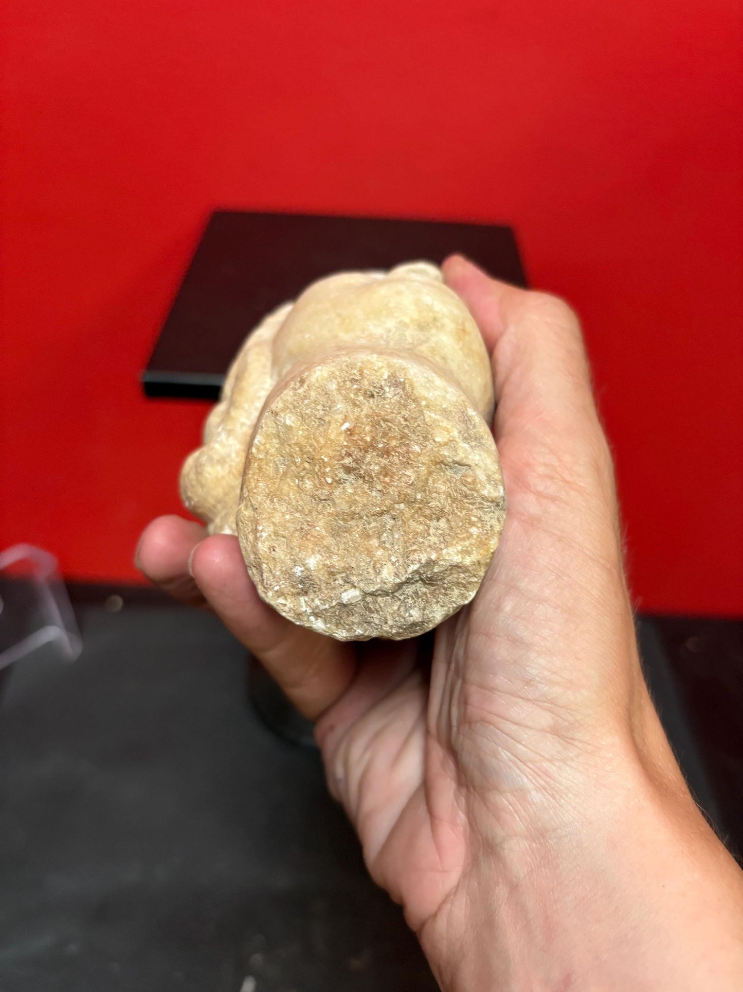 Museum quality 5 inch long Roman stone head  4 to 600 A.D. amazing condition  one of  a kind