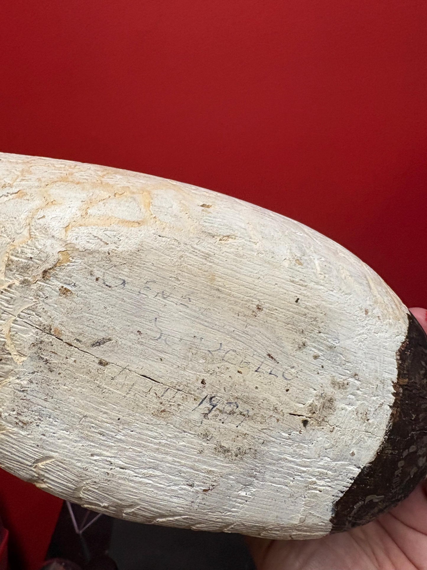 Beautiful 1970s Canadian wood signed duck - great colours and detail  good value and perfect gift