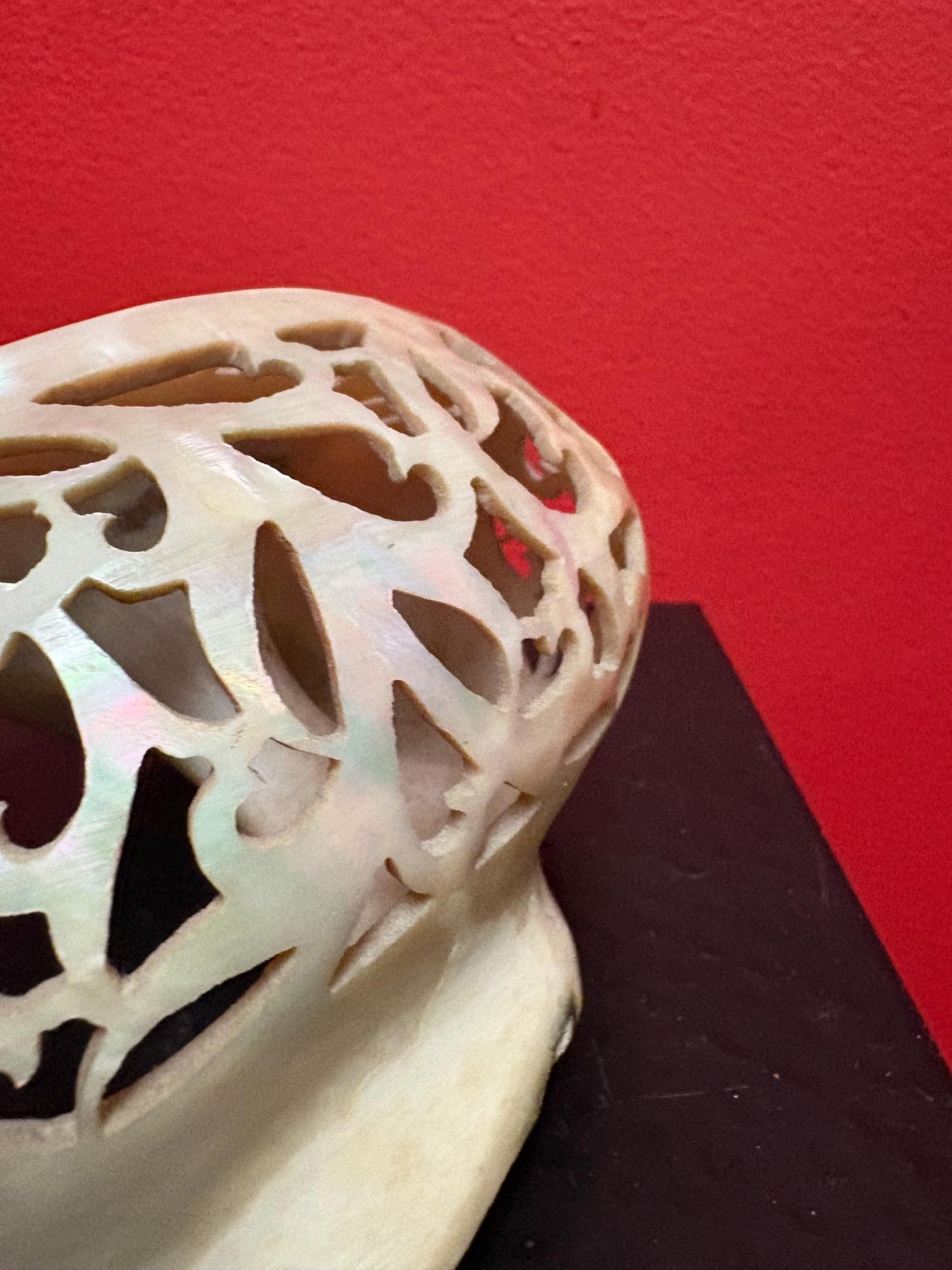 Stunning antique shell  6 inches long from ANDAMANS  islands  perfect condition - wow  perfect gift