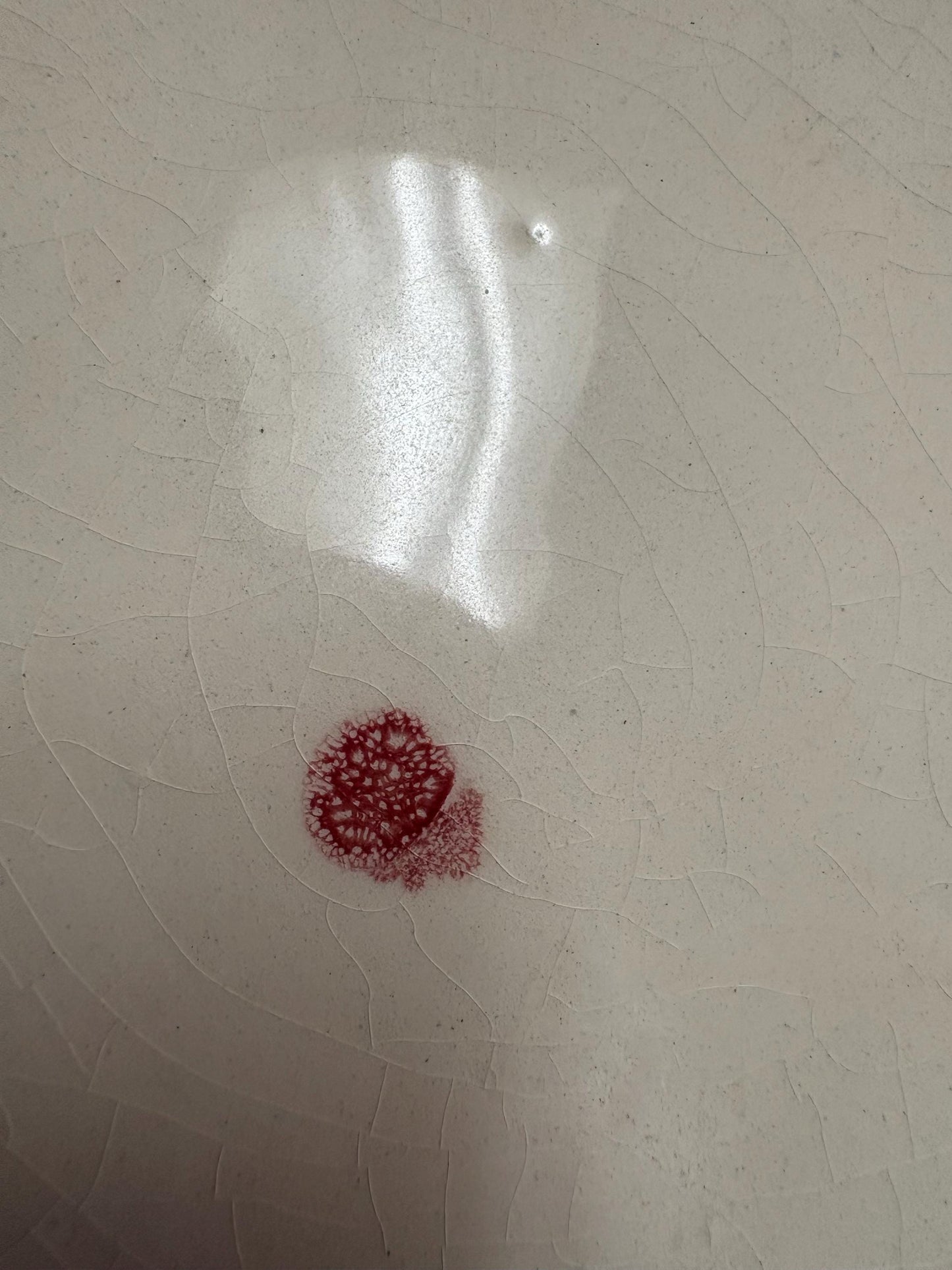 Stunning early 19 century majolica pallisy  Portugal  crab plate in mint condition   wow  10 inches across