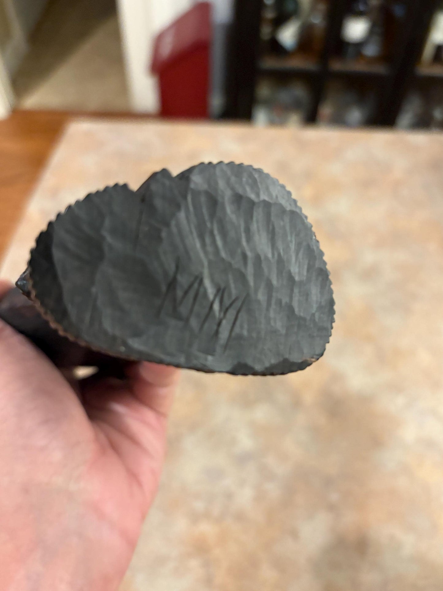 Particularly beautiful 8 inch tall Ebony wood African female bust with great detail  - signed