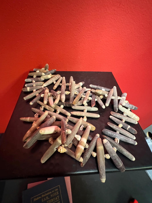 Amazing beach stone and shell approx 31 inch necklace - so cool