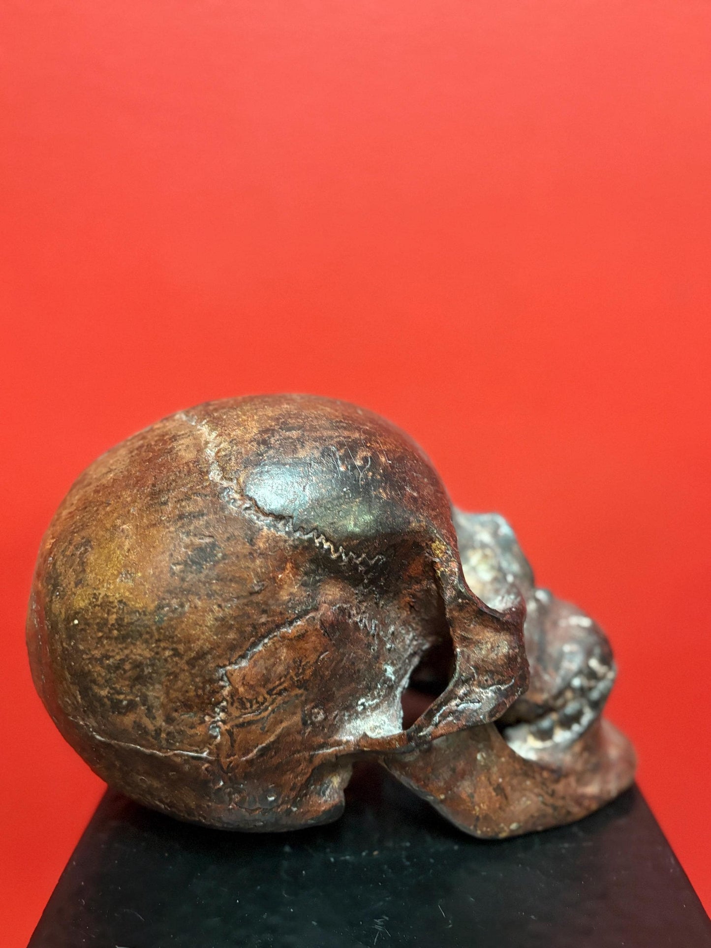Amazing amazing 9 x 5” tall life like detailed  bronze statue of a skull — mint condition — fabulous patina - wow
