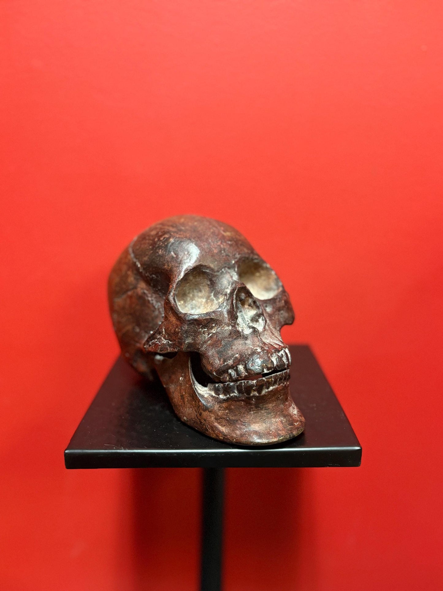 Amazing amazing 9 x 5” tall life like detailed  bronze statue of a skull — mint condition — fabulous patina - wow