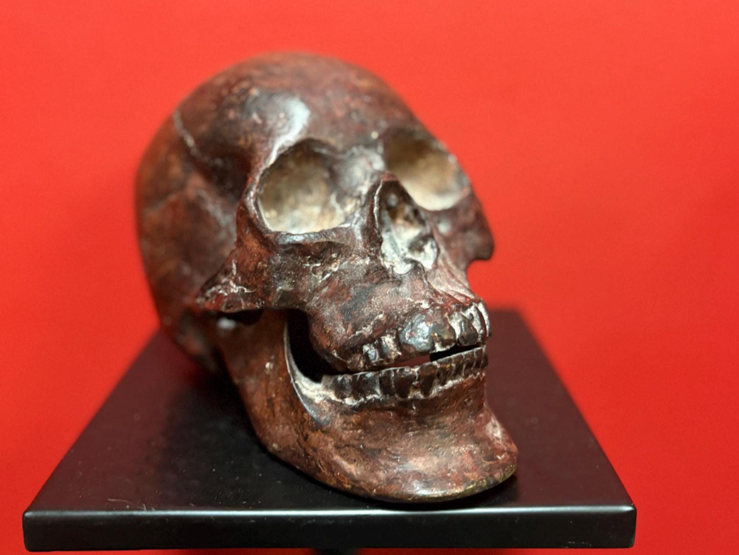 Amazing amazing 9 x 5” tall life like detailed  bronze statue of a skull — mint condition — fabulous patina - wow