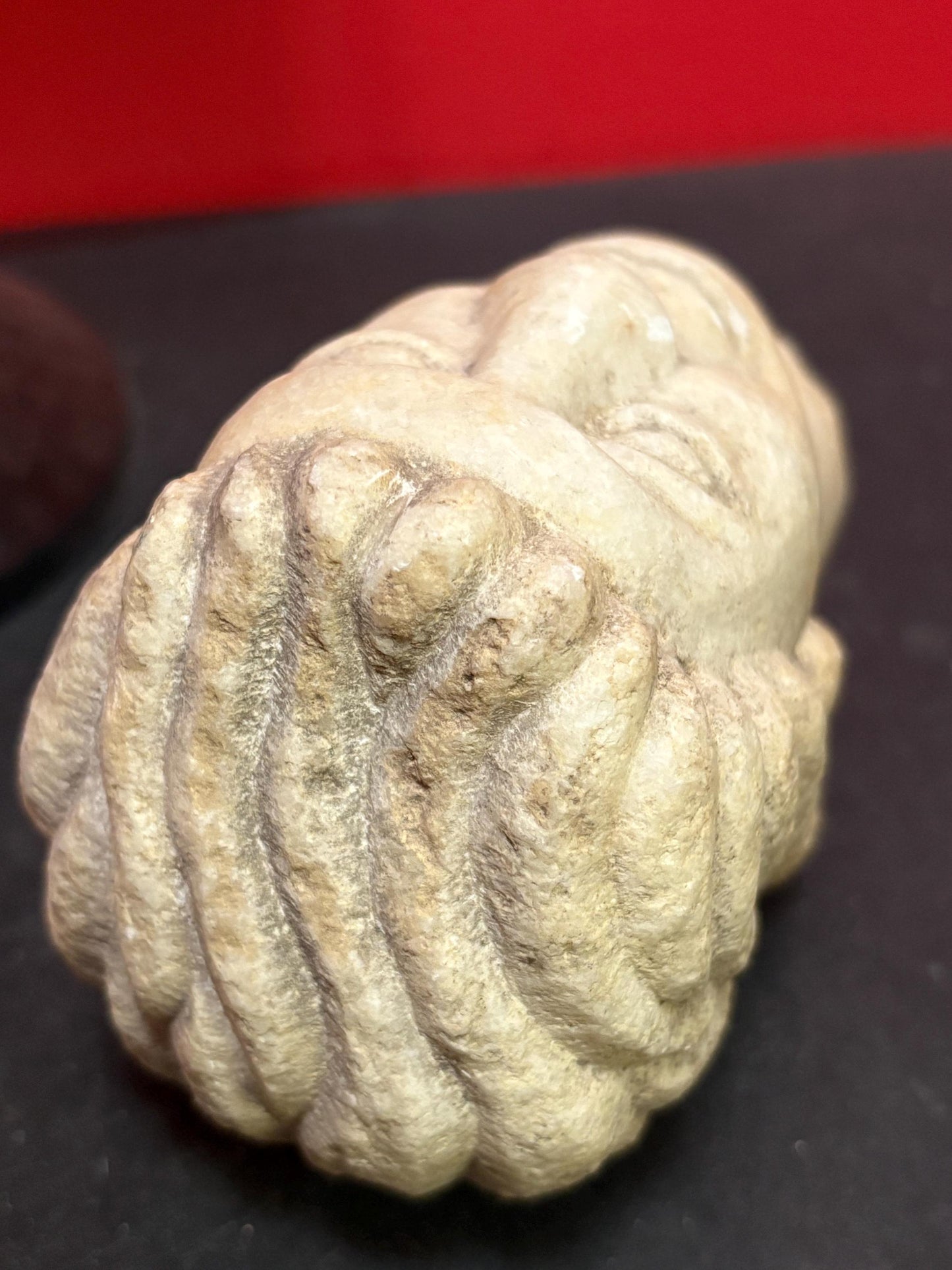 Museum quality 5 inch long Roman stone head  4 to 600 A.D. amazing condition  one of  a kind