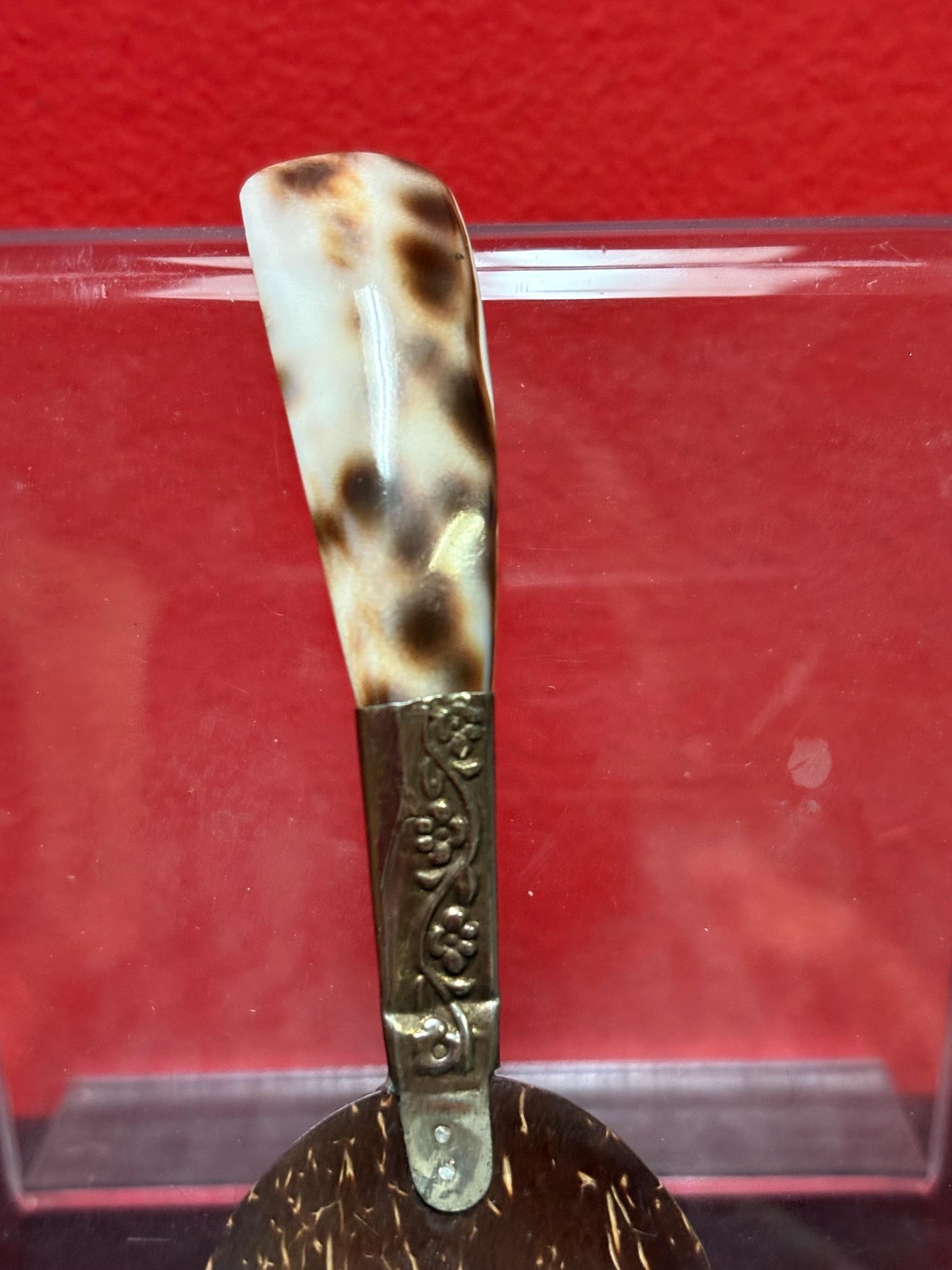 Beautiful coconut shell and silver spoon 5 inches long  many purposes and great gift