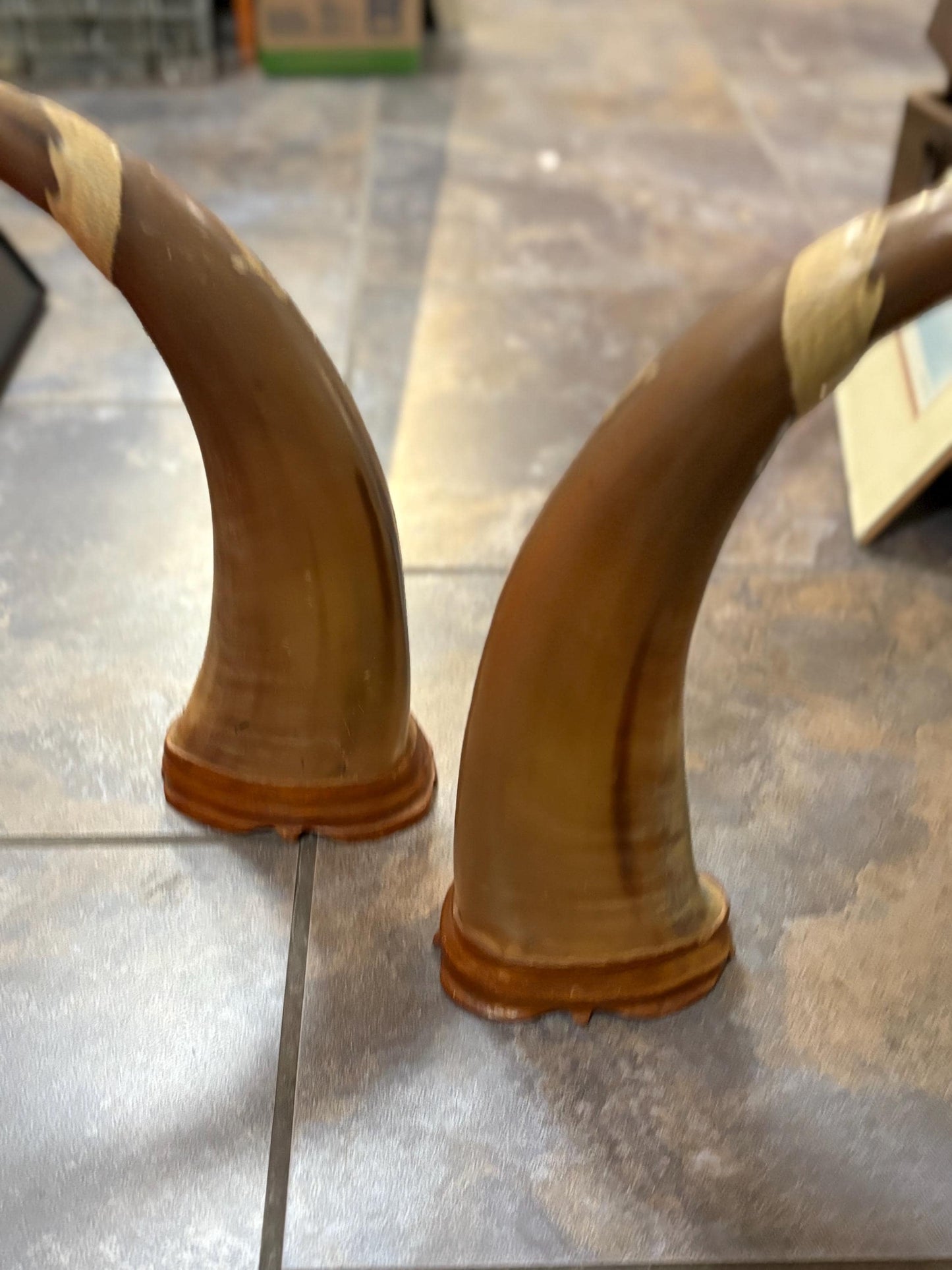 Large pair water Buffalo Chinese horns with animal imagery  approx 16 x 5 inch - great look and amazing price