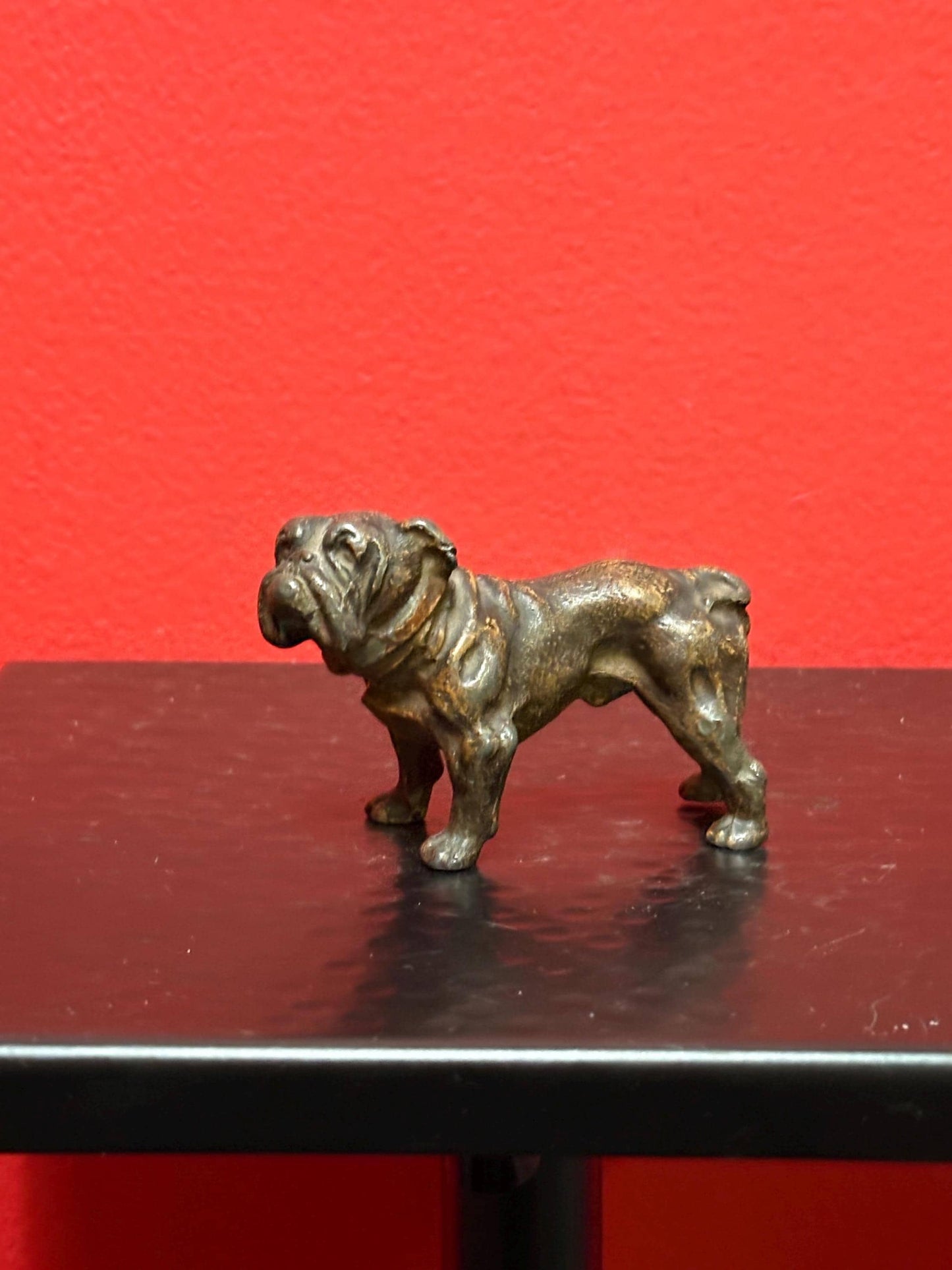 Stunning antique 3 by 2 inch high bronze bulldog  wonderful patina and amazing gift bulldog -