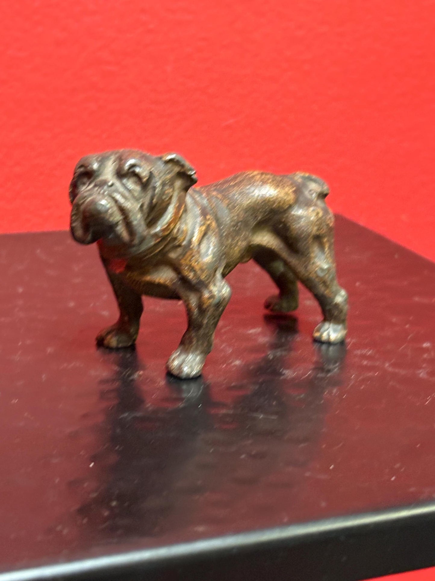 Stunning antique 3 by 2 inch high bronze bulldog  wonderful patina and amazing gift bulldog -