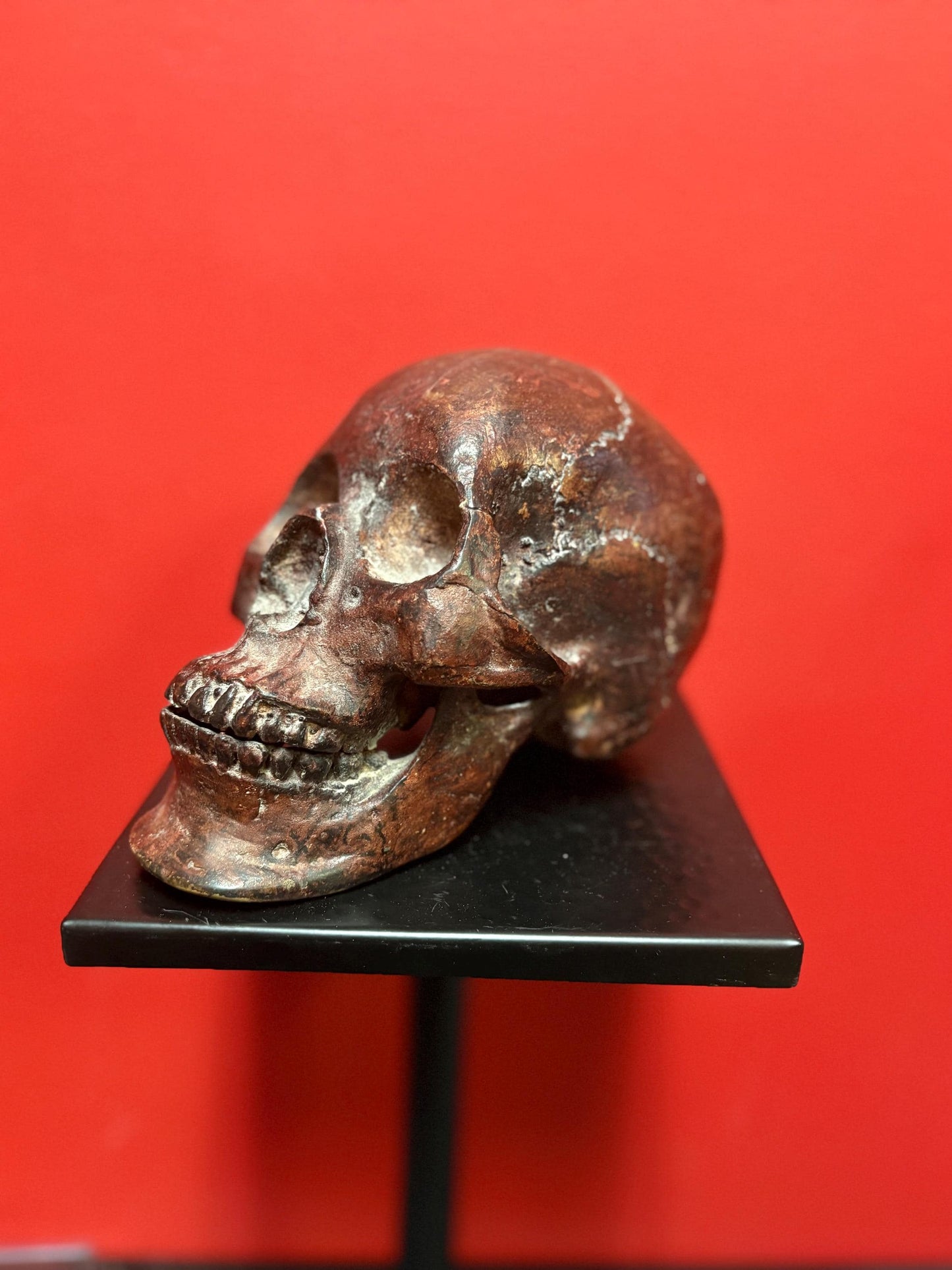 Amazing amazing 9 x 5” tall life like detailed  bronze statue of a skull — mint condition — fabulous patina - wow