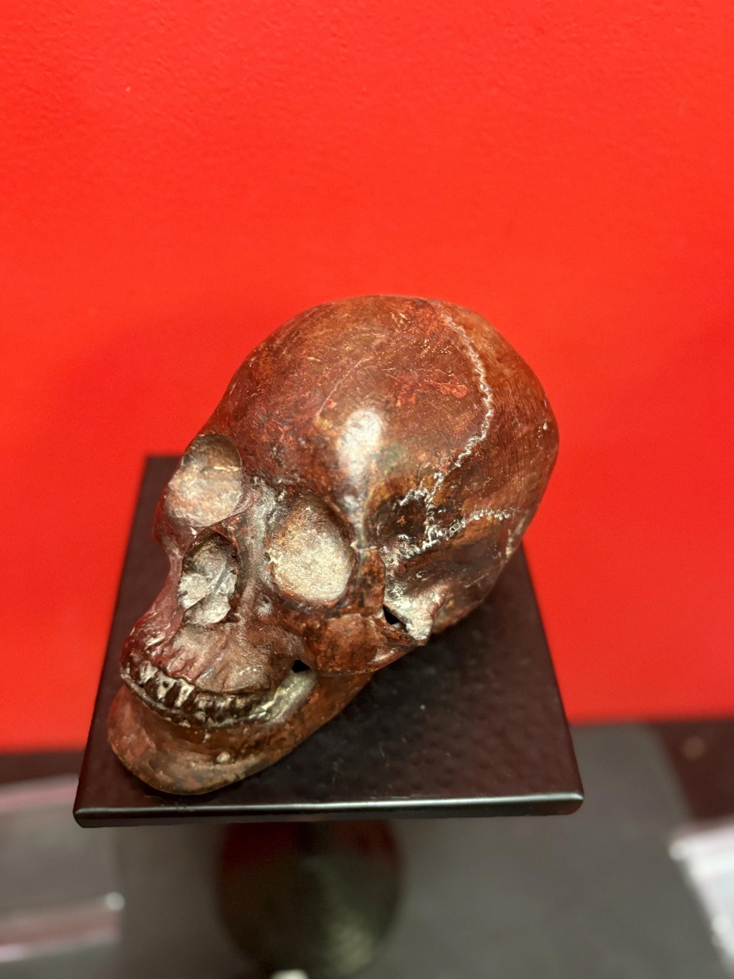 Amazing amazing 9 x 5” tall life like detailed  bronze statue of a skull — mint condition — fabulous patina - wow