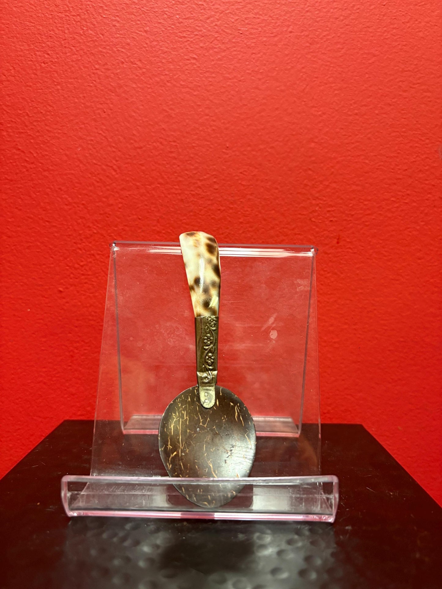 Beautiful coconut shell and silver spoon 5 inches long  many purposes and great gift