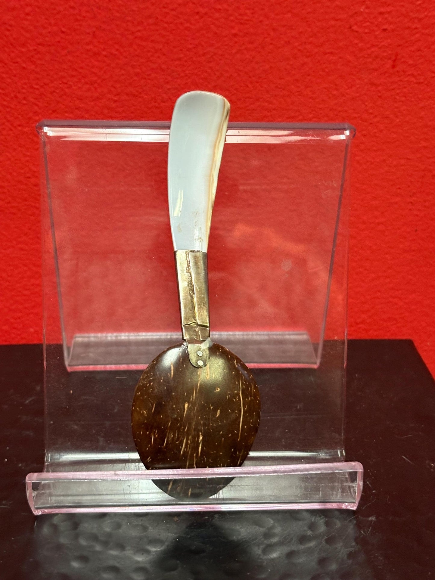Beautiful coconut shell and silver spoon 5 inches long  many purposes and great gift