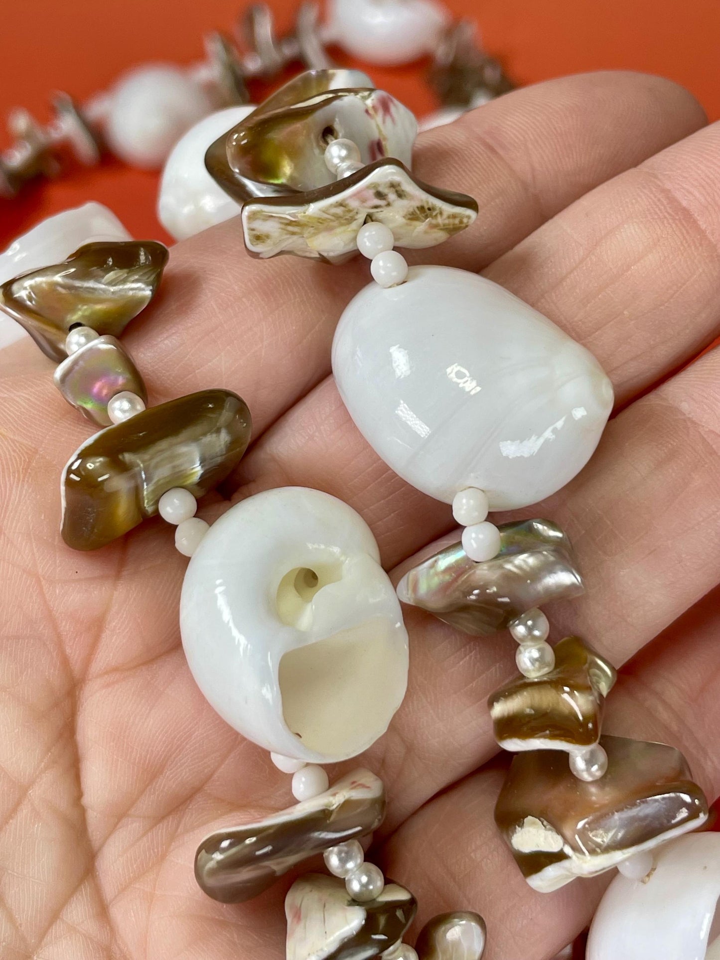 Lovely Polished Shell Necklace —