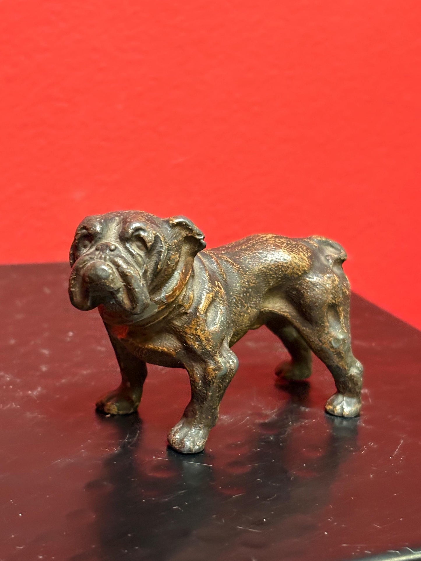 Stunning antique 3 by 2 inch high bronze bulldog  wonderful patina and amazing gift bulldog -
