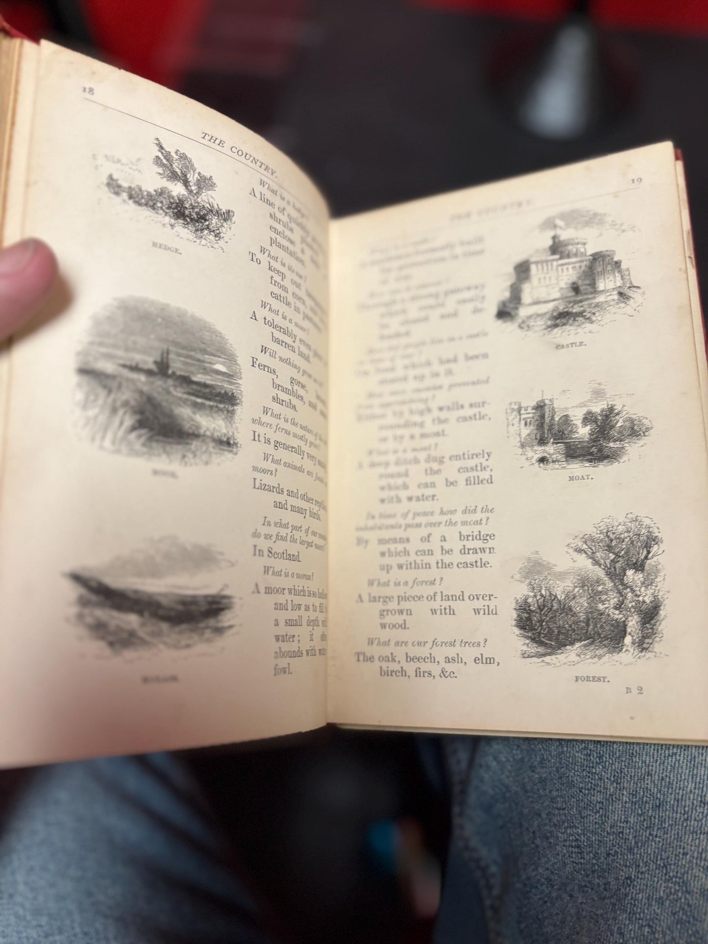 Antique - things out of doors book - with cracked spine and damaged cover  fun book - good value