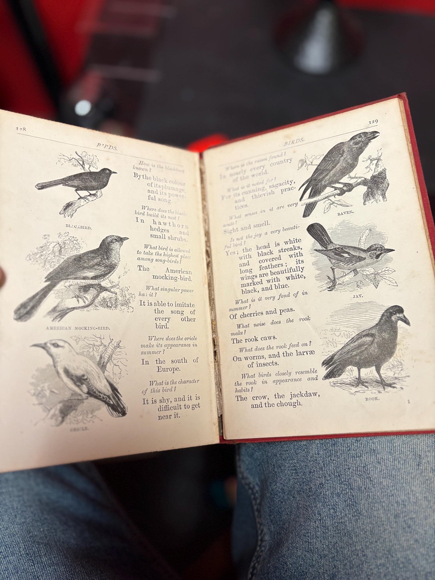 Antique - things out of doors book - with cracked spine and damaged cover  fun book - good value