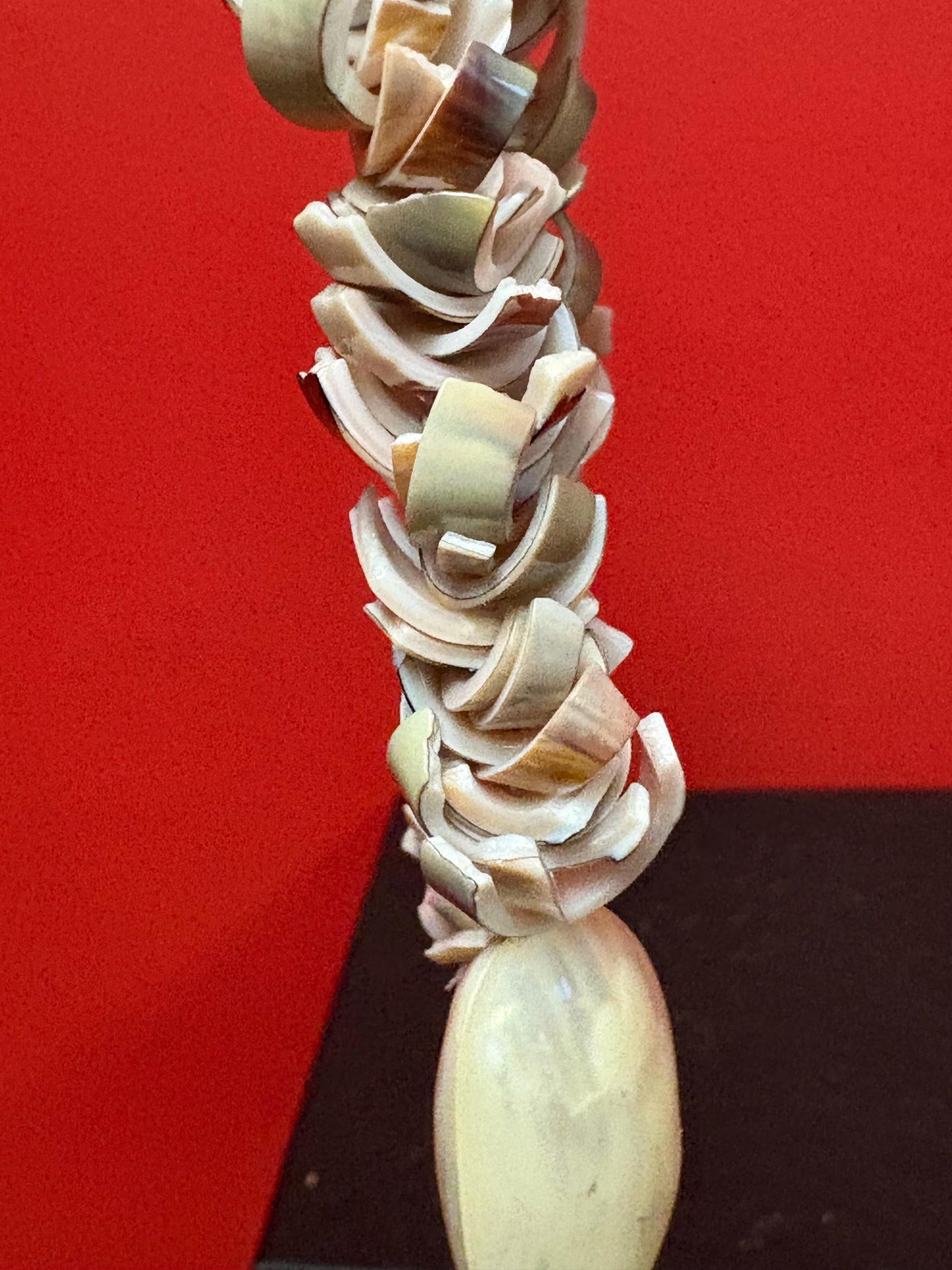 Very cool shell necklace  approx 18 inches  beautiful gift