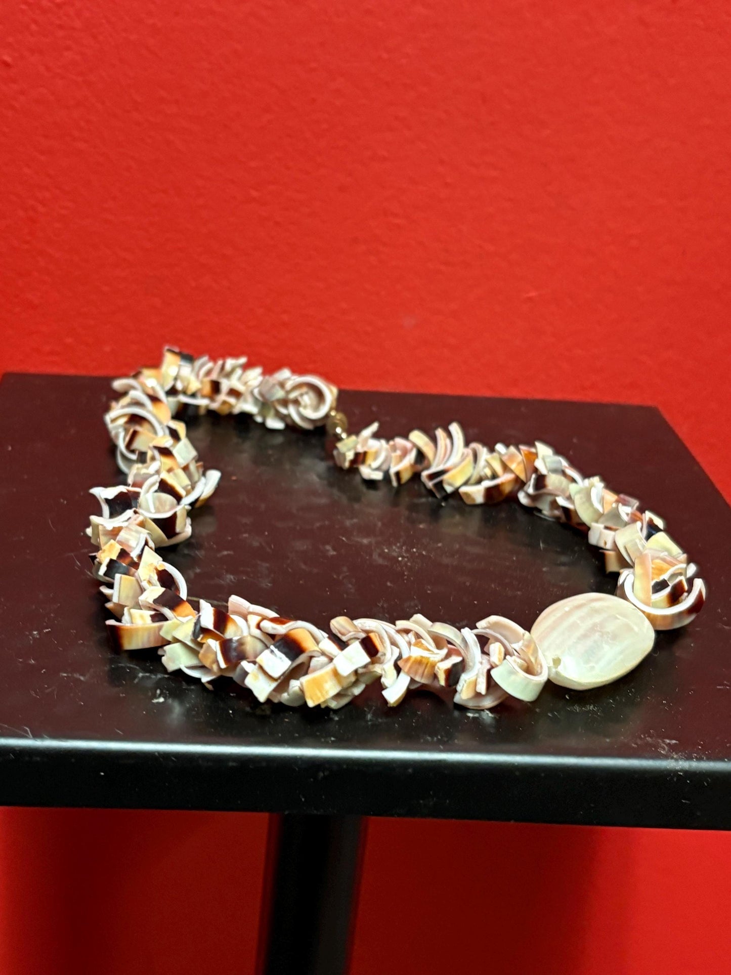 Very cool shell necklace  approx 18 inches  beautiful gift