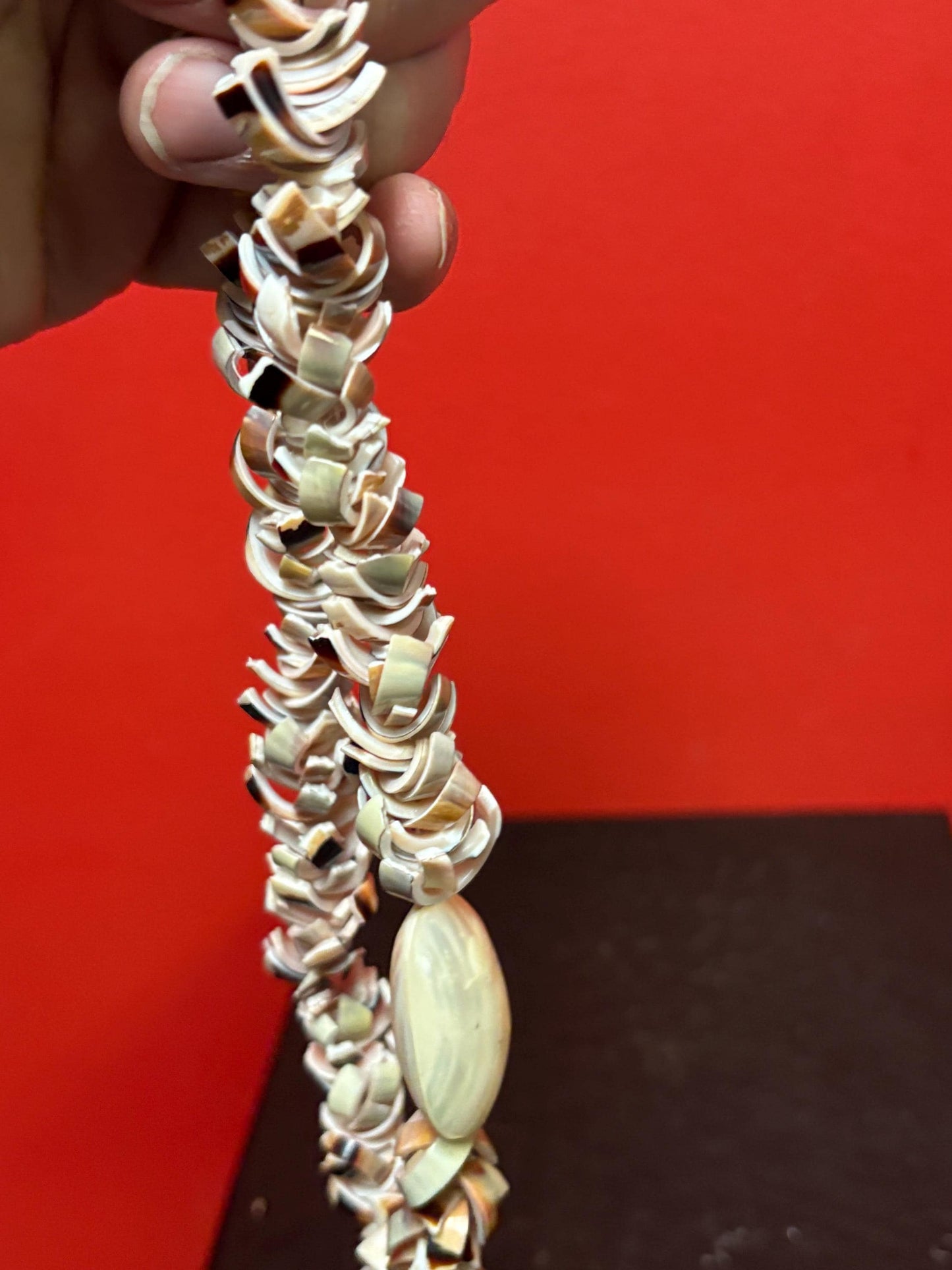 Very cool shell necklace  approx 18 inches  beautiful gift