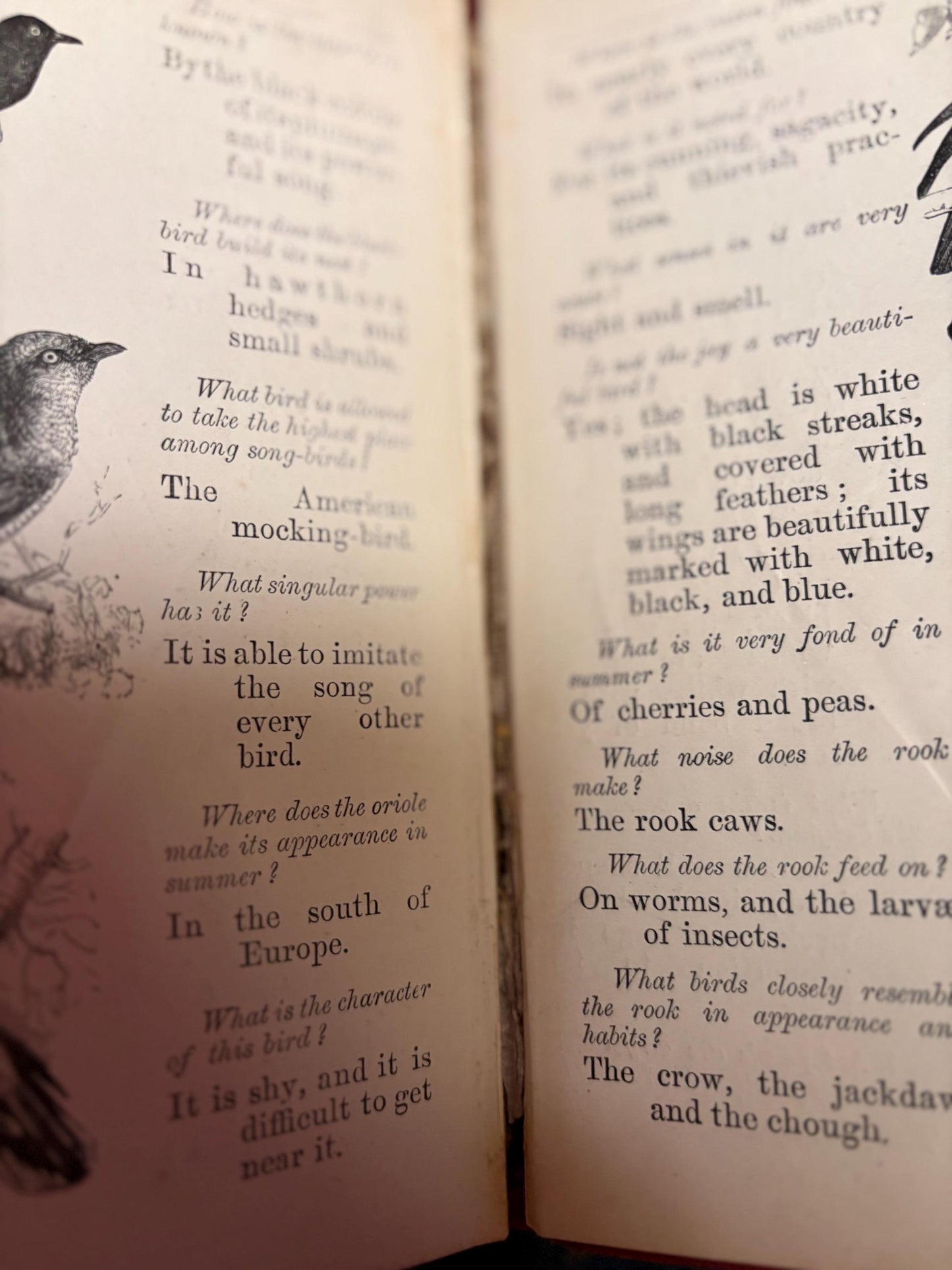 Antique - things out of doors book - with cracked spine and damaged cover  fun book - good value